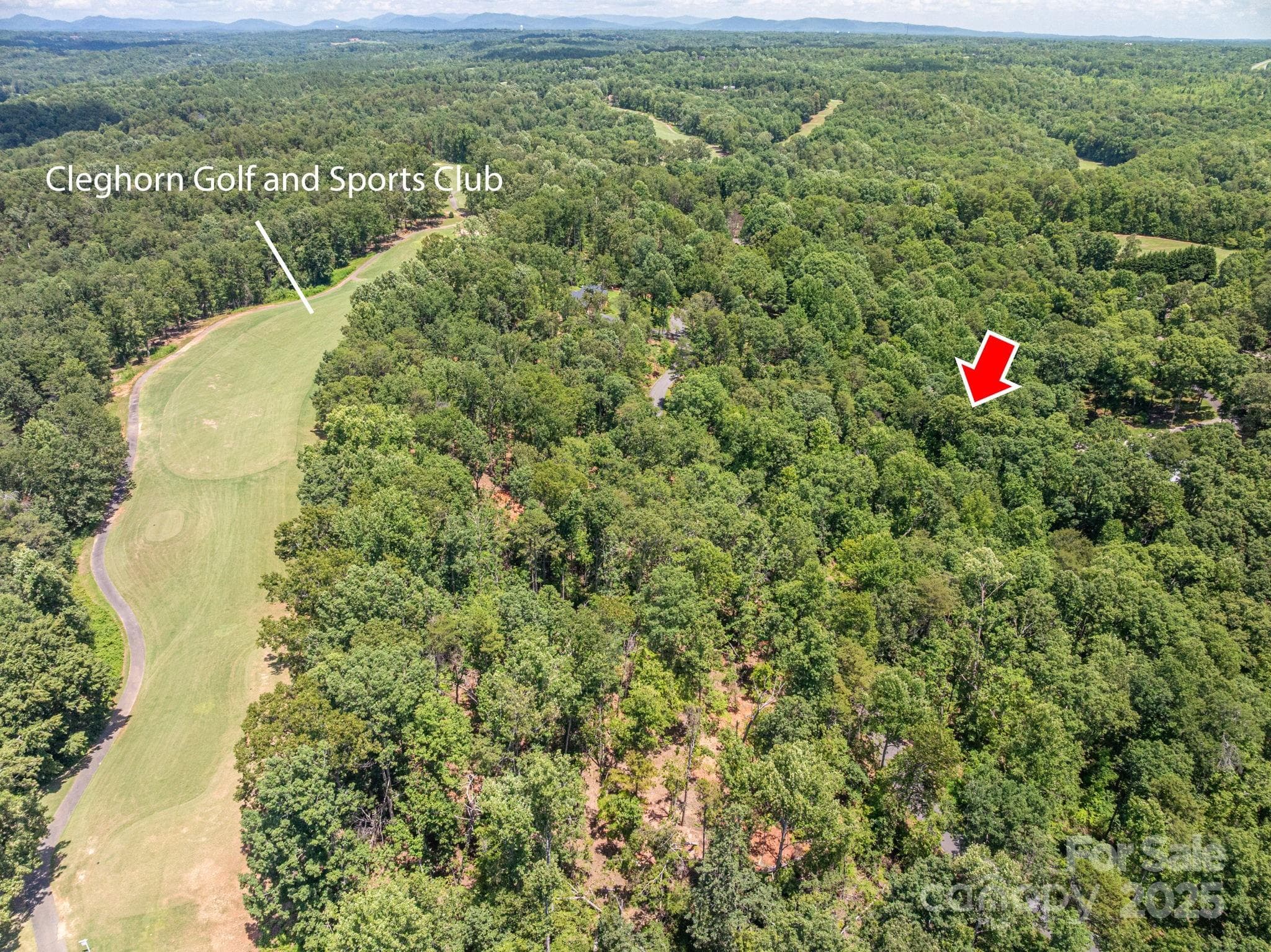 Lot at Lot 132 Plantation Drive, Rutherfordton, photo 4 of 17