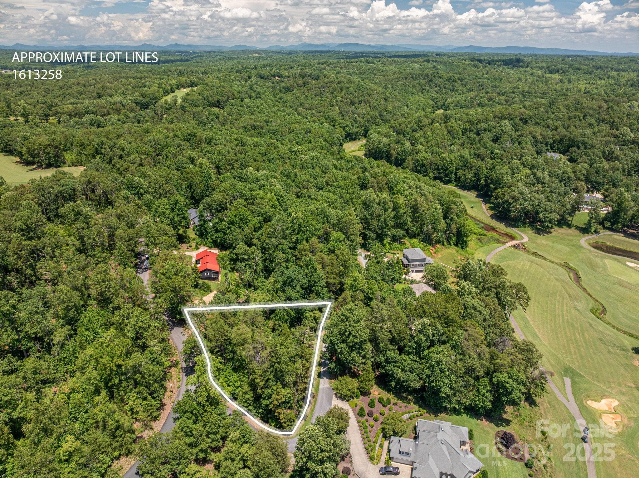 Lot at Lot 207 Plantation Drive, Rutherfordton, photo 2 of 11