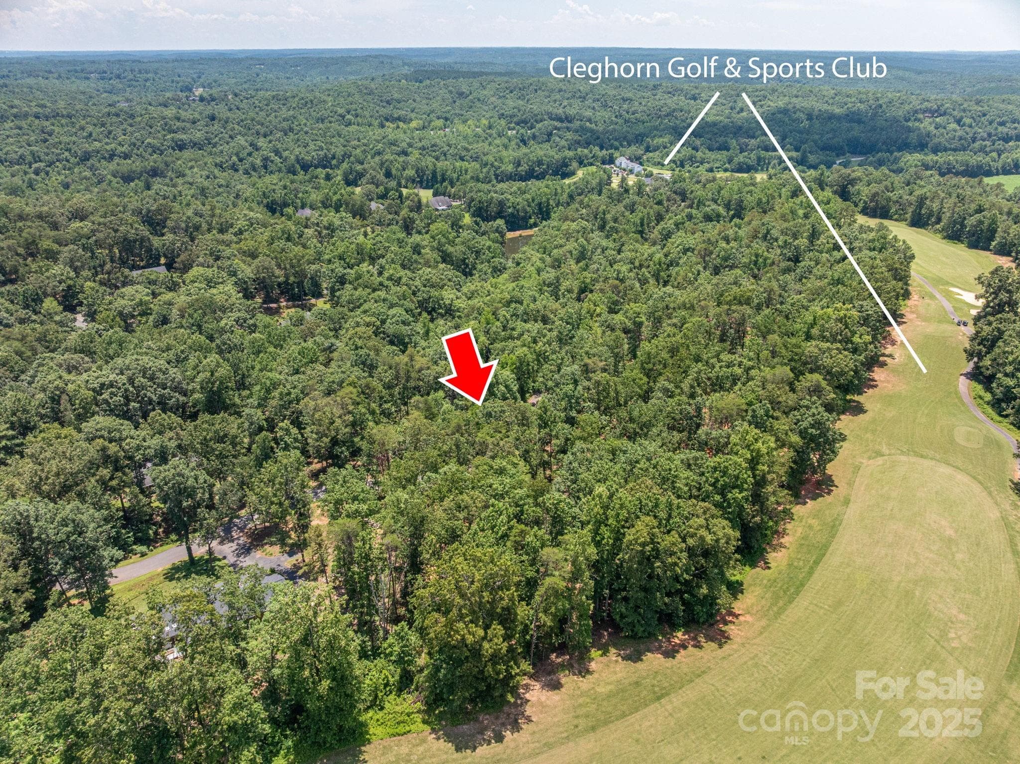 Lot at Rutherfordton, photo 4 of 14