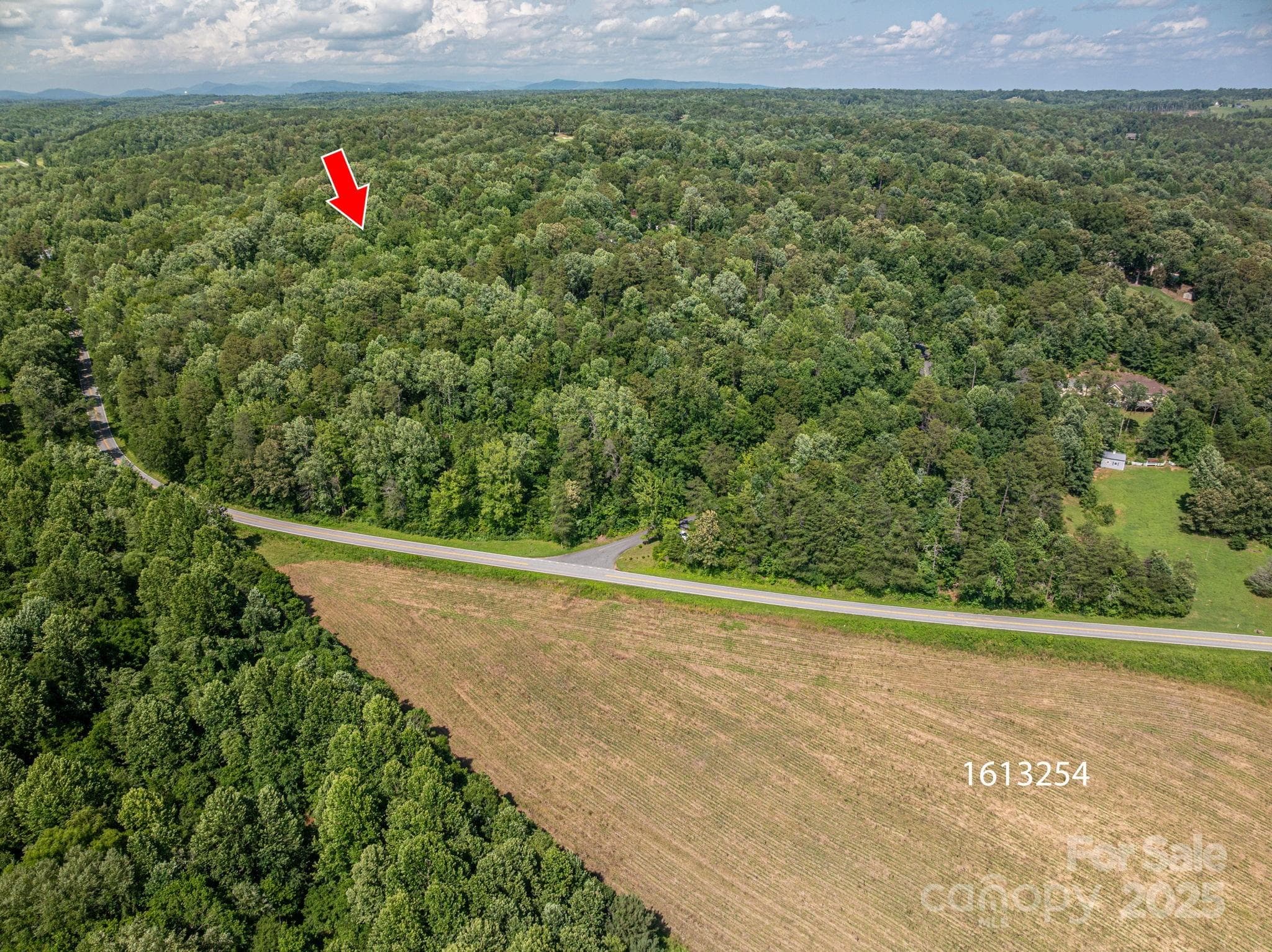 Lot at Lot 166 Plantation Drive, Rutherfordton, photo 3 of 22