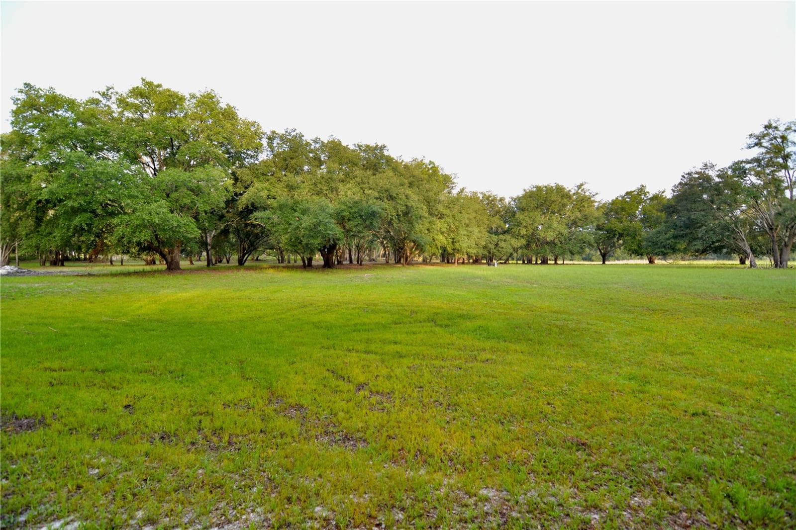Farm at 2669 NW SUWANNEE VALLEY RD, LAKE CITY, photo 2 of 66