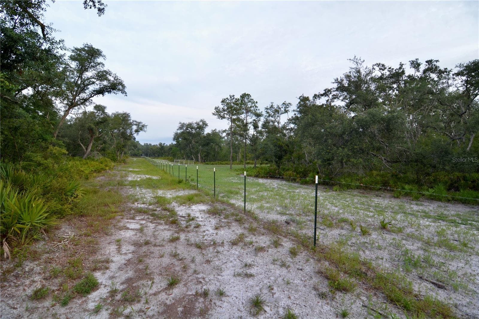 Farm at 2669 NW SUWANNEE VALLEY RD, LAKE CITY, photo 6 of 66