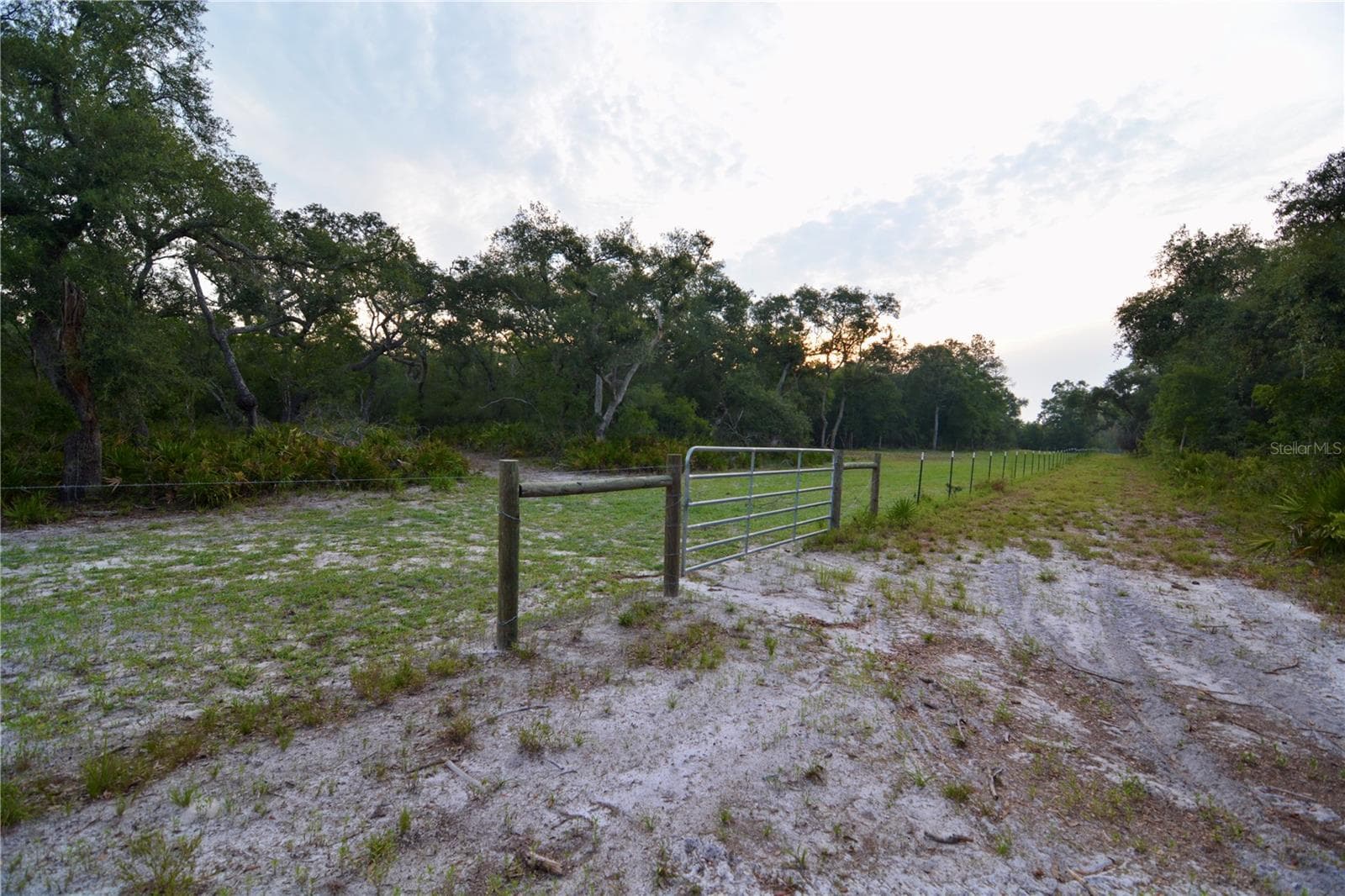 Farm at 2669 NW SUWANNEE VALLEY RD, LAKE CITY, photo 7 of 66