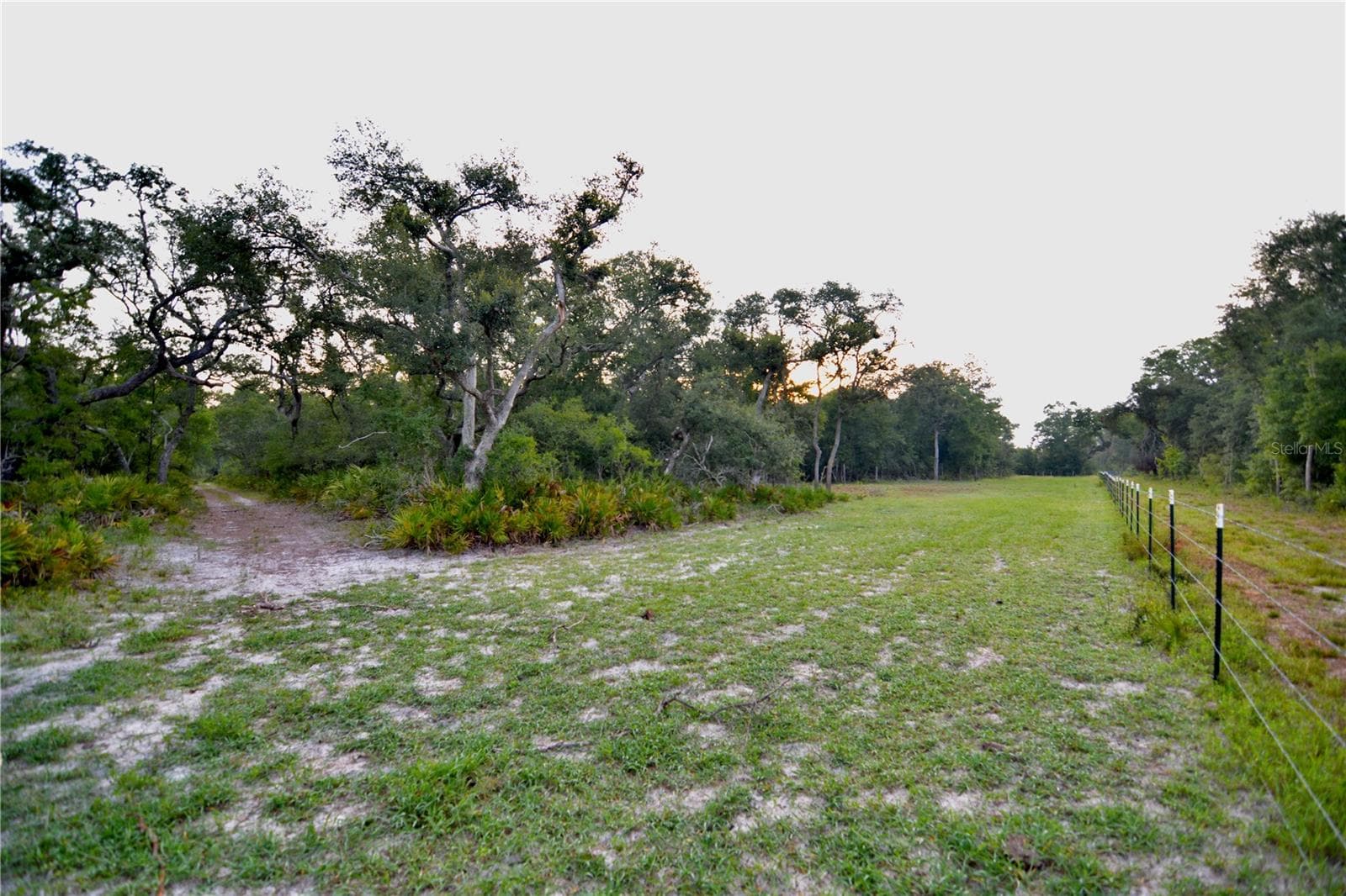 Farm at 2669 NW SUWANNEE VALLEY RD, LAKE CITY, photo 8 of 66