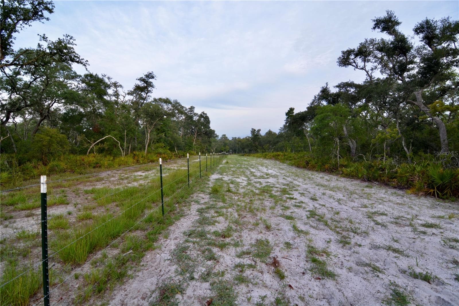 Farm at 2669 NW SUWANNEE VALLEY RD, LAKE CITY, photo 9 of 66