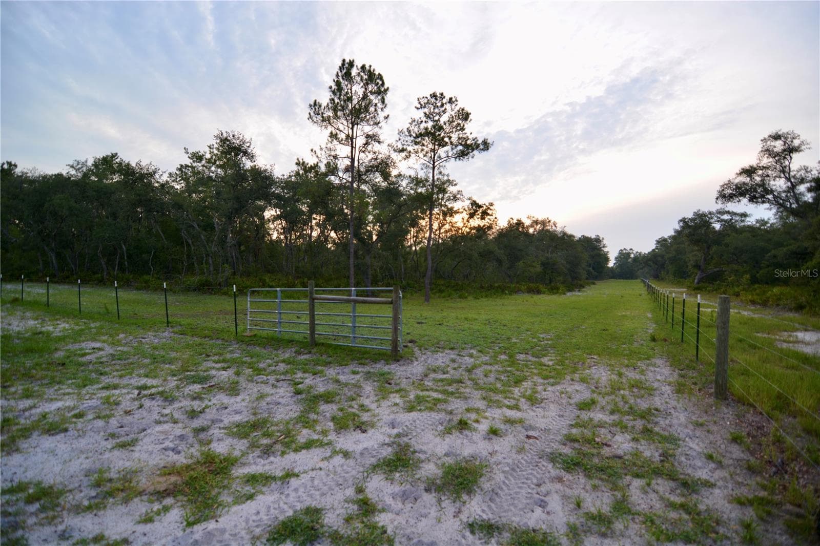 Farm at 2669 NW SUWANNEE VALLEY RD, LAKE CITY, photo 10 of 66