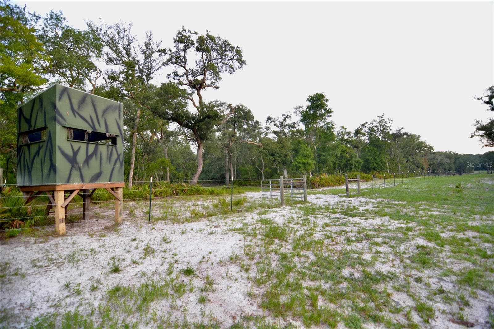 Farm at 2669 NW SUWANNEE VALLEY RD, LAKE CITY, photo 11 of 66