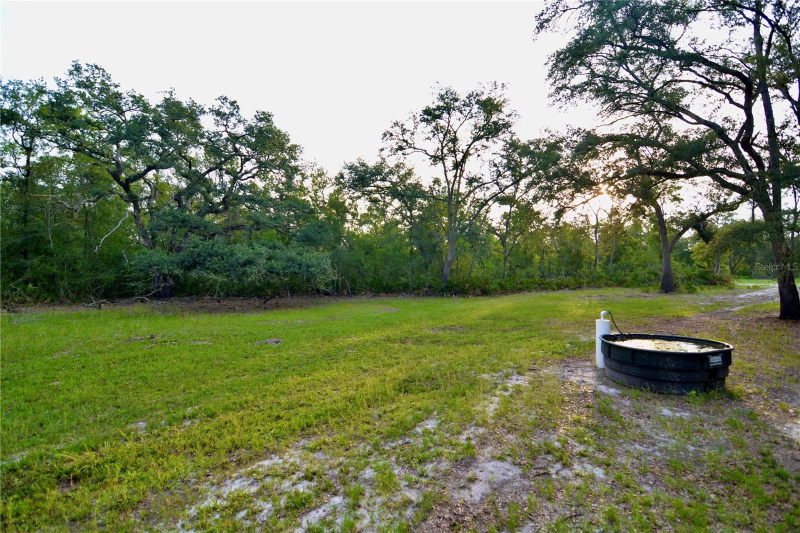 Farm at 2669 NW SUWANNEE VALLEY RD, LAKE CITY, photo 12 of 66