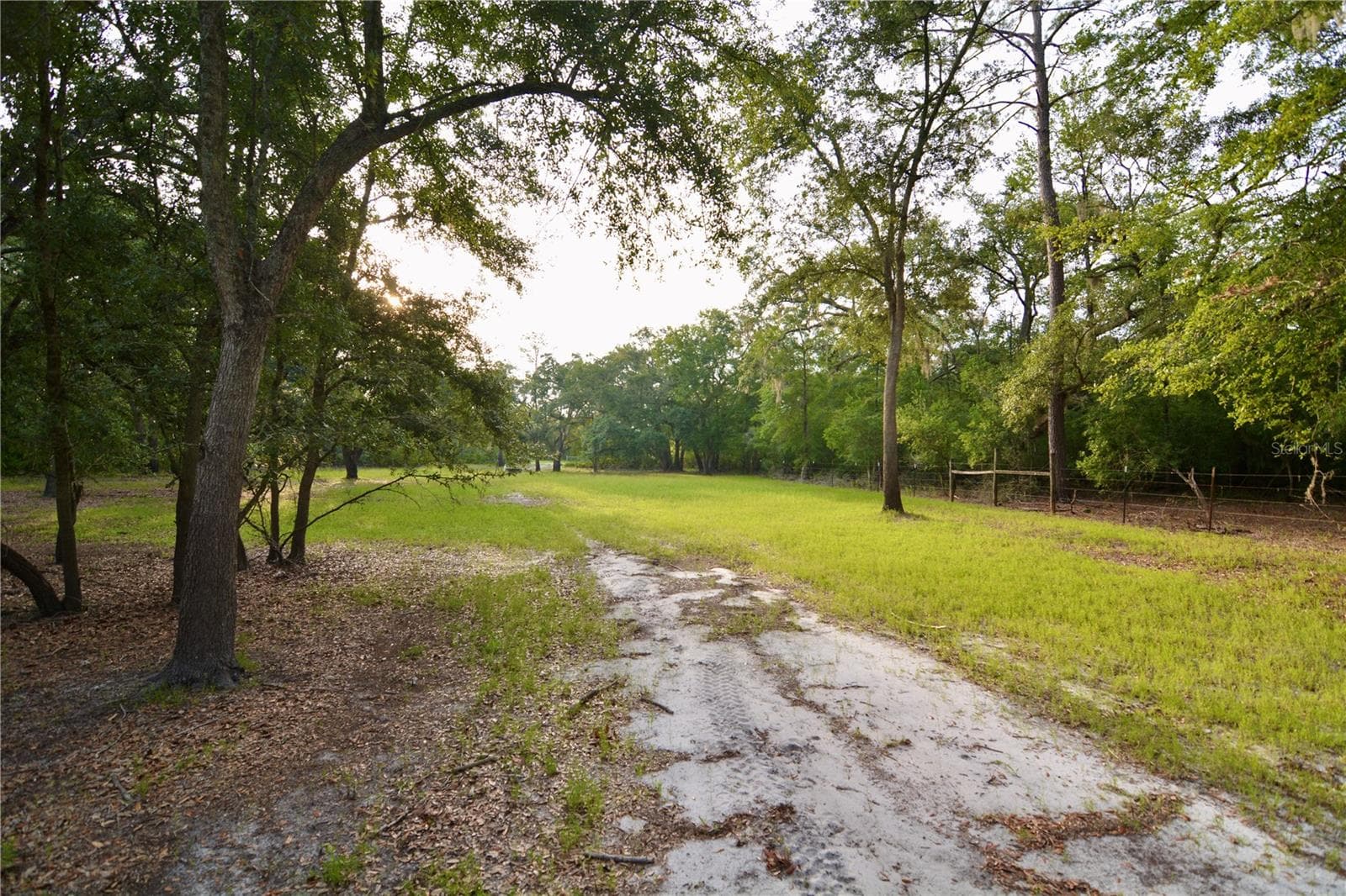 Farm at 2669 NW SUWANNEE VALLEY RD, LAKE CITY, photo 13 of 66