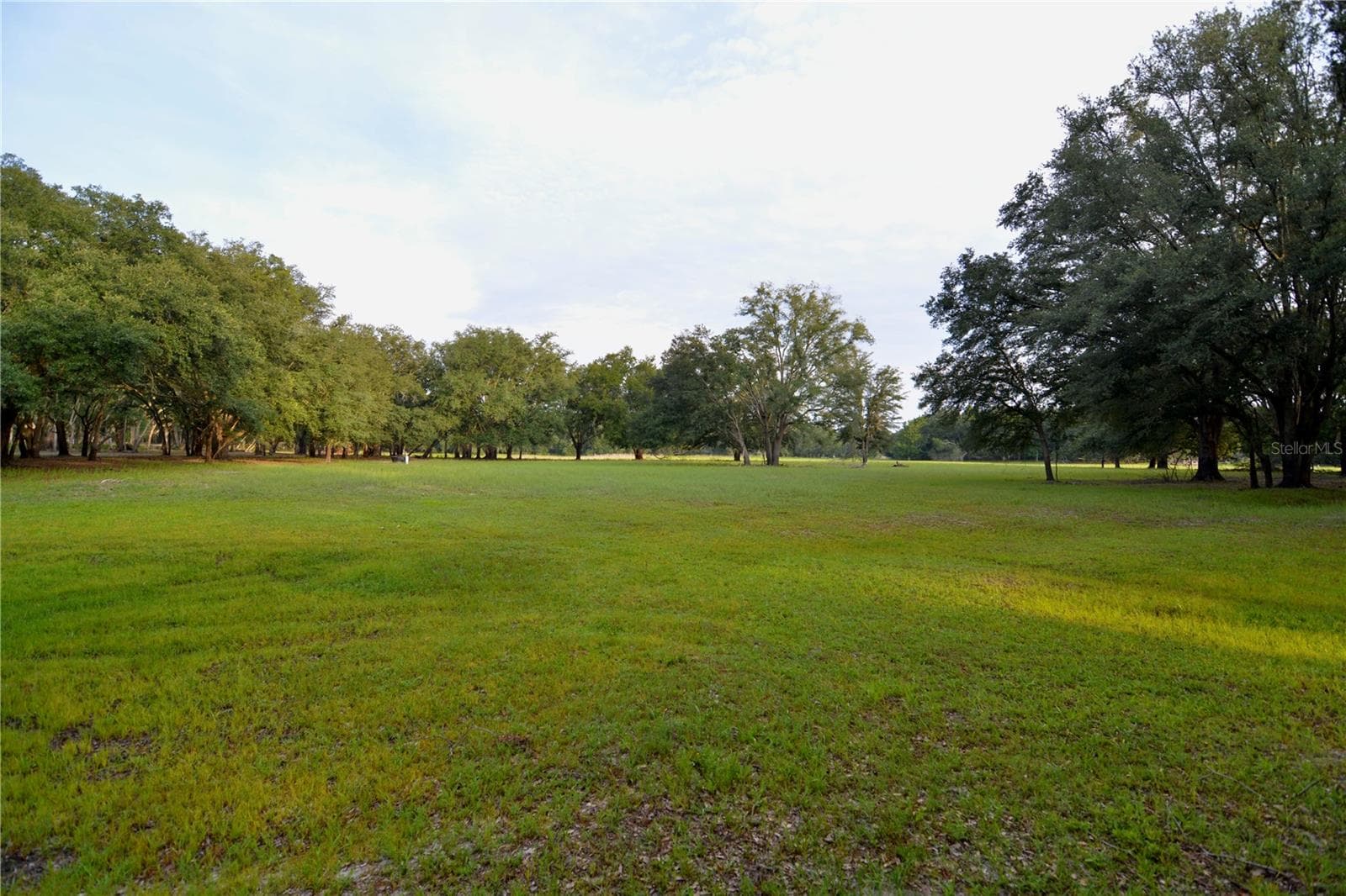 Farm at 2669 NW SUWANNEE VALLEY RD, LAKE CITY, photo 14 of 66