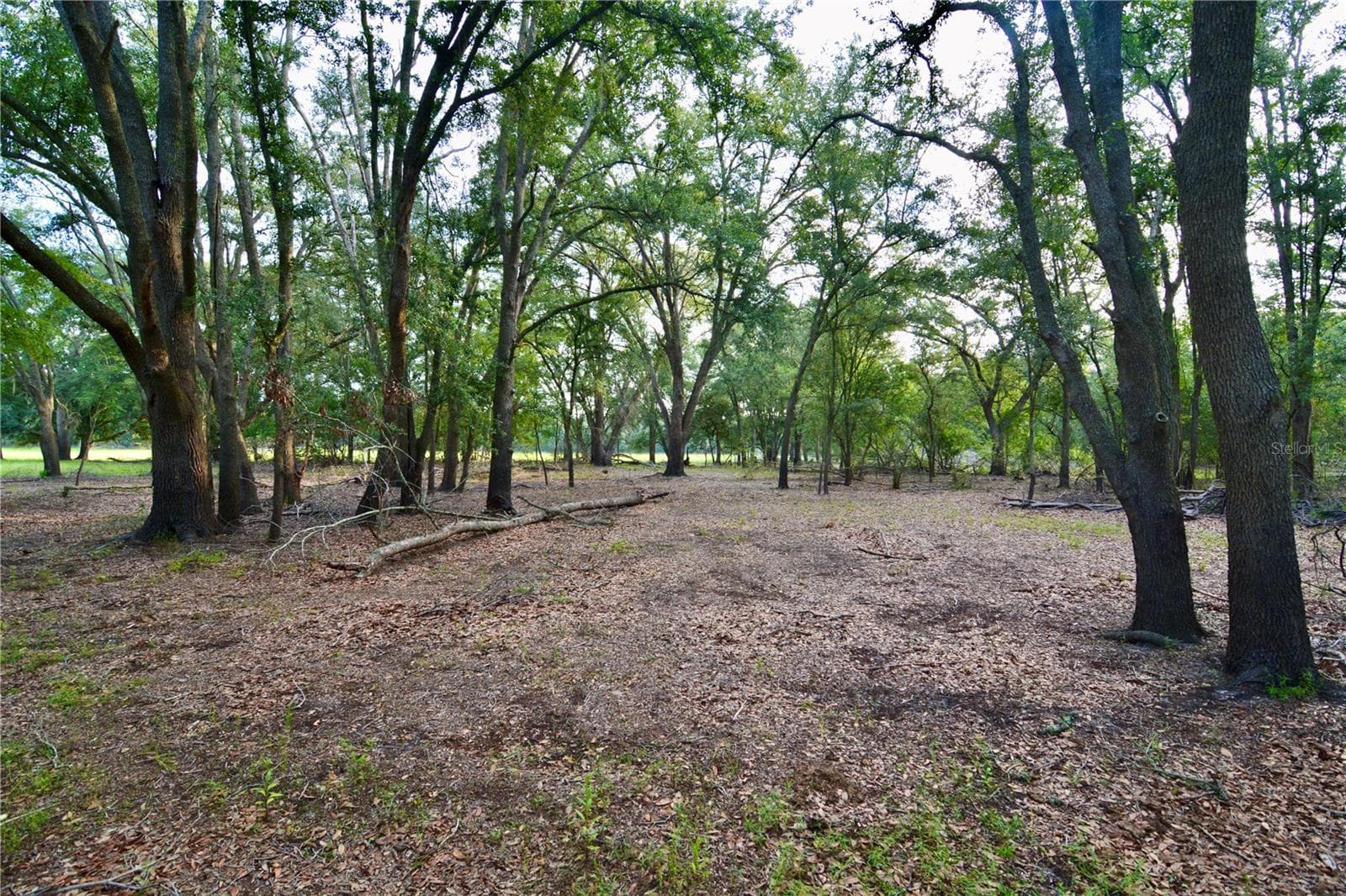 Farm at 2669 NW SUWANNEE VALLEY RD, LAKE CITY, photo 15 of 66