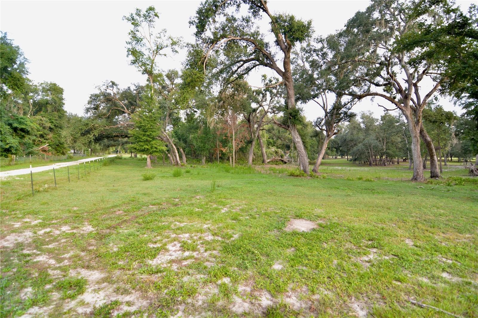 Farm at 2669 NW SUWANNEE VALLEY RD, LAKE CITY, photo 16 of 66