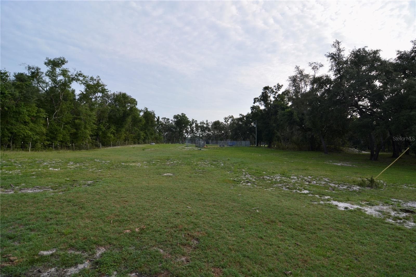 Farm at 2669 NW SUWANNEE VALLEY RD, LAKE CITY, photo 17 of 66