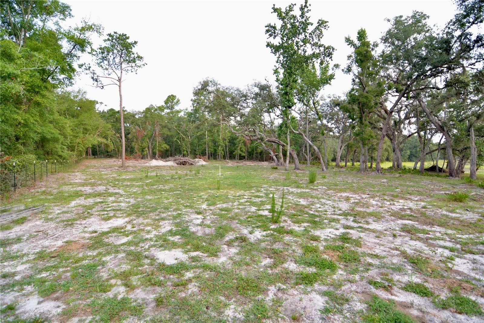 Farm at 2669 NW SUWANNEE VALLEY RD, LAKE CITY, photo 18 of 66