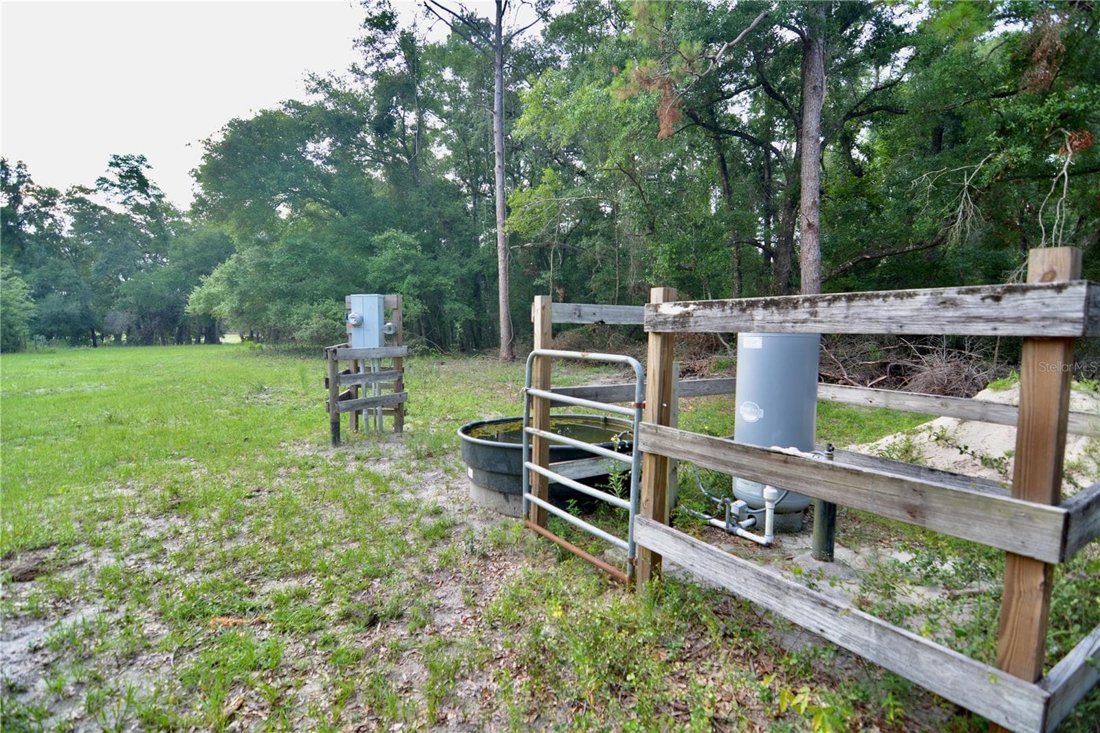 Farm at 2669 NW SUWANNEE VALLEY RD, LAKE CITY, photo 19 of 66