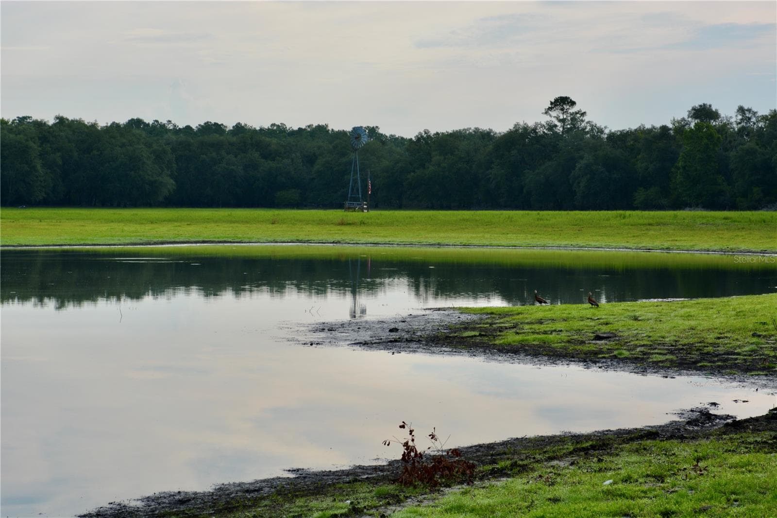 Farm at 2669 NW SUWANNEE VALLEY RD, LAKE CITY, photo 20 of 66