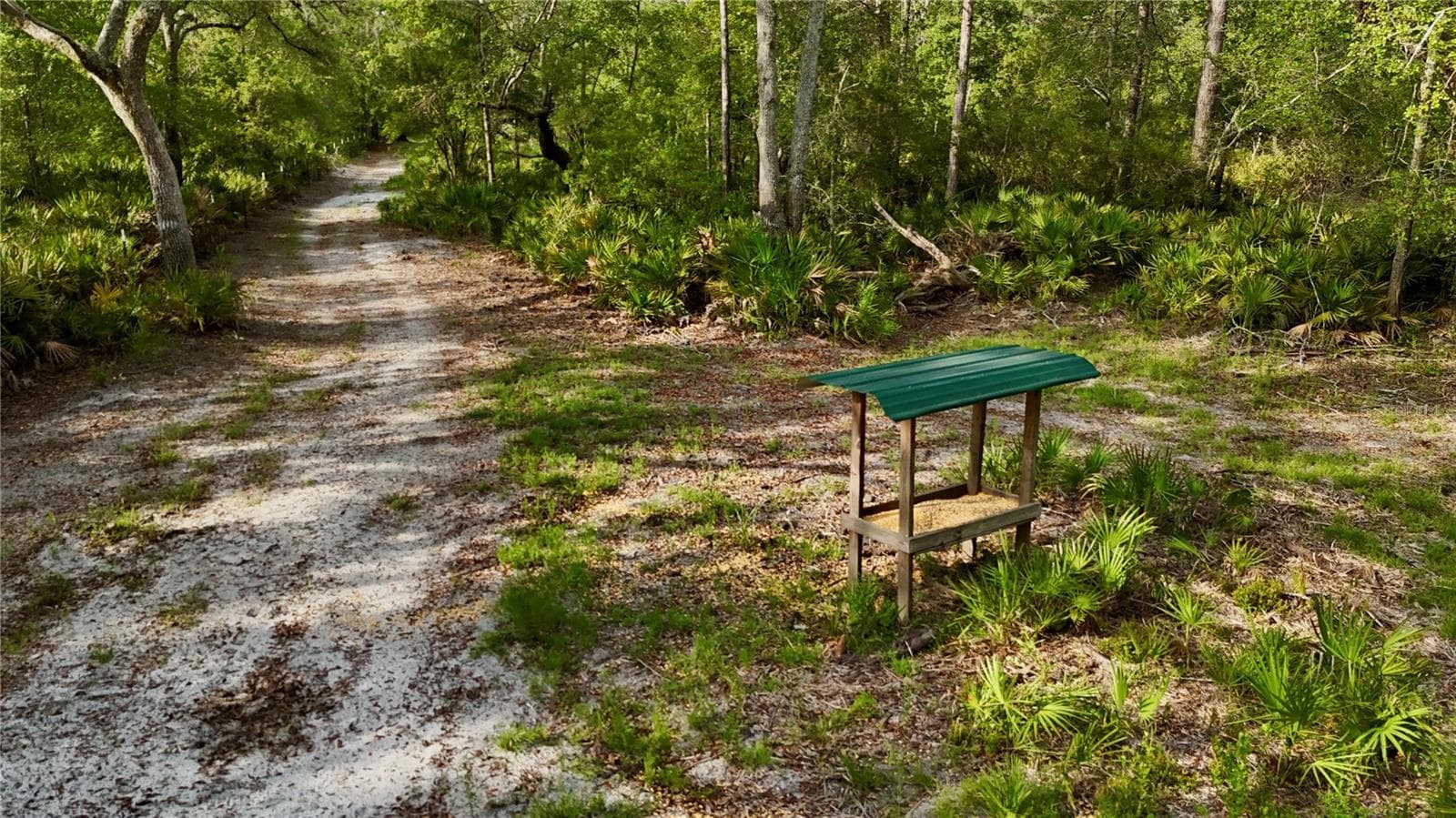 Farm at 2669 NW SUWANNEE VALLEY RD, LAKE CITY, photo 24 of 66