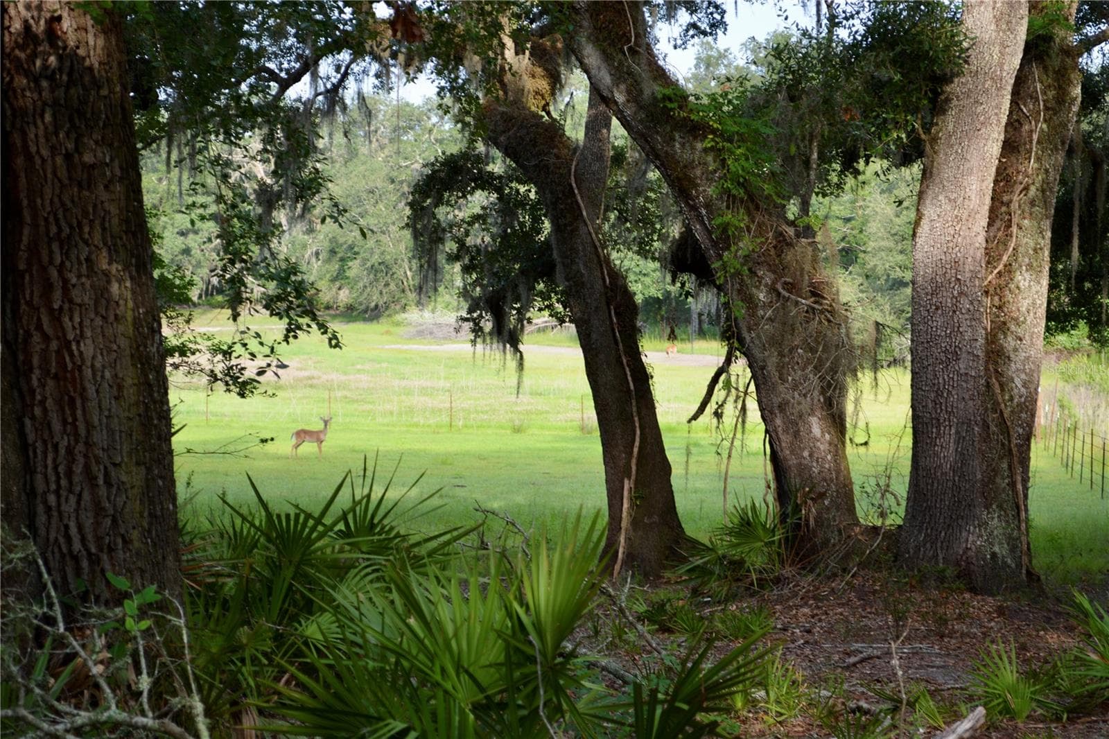 Farm at 2669 NW SUWANNEE VALLEY RD, LAKE CITY, photo 25 of 66