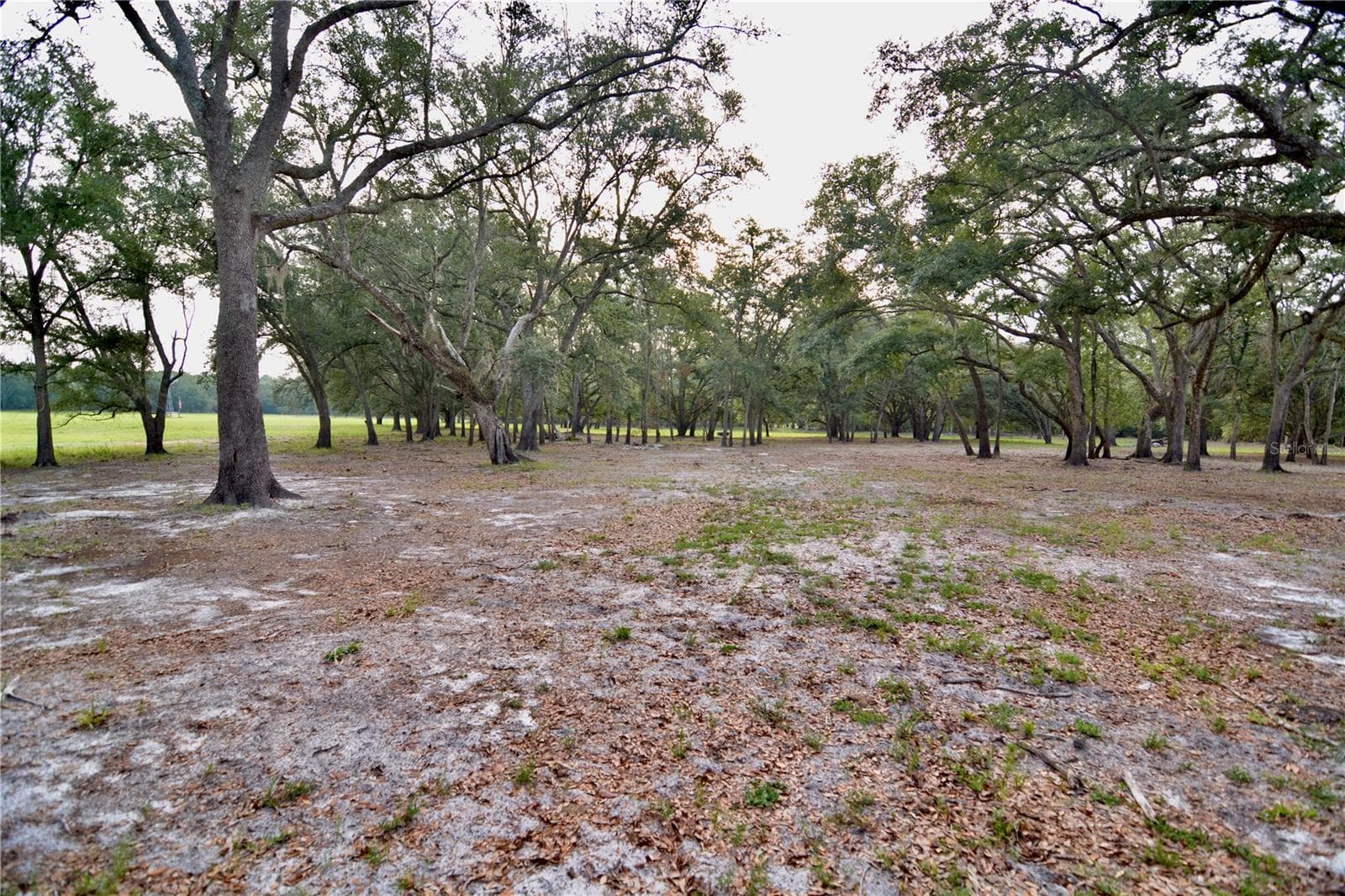 Farm at 2669 NW SUWANNEE VALLEY RD, LAKE CITY, photo 26 of 66