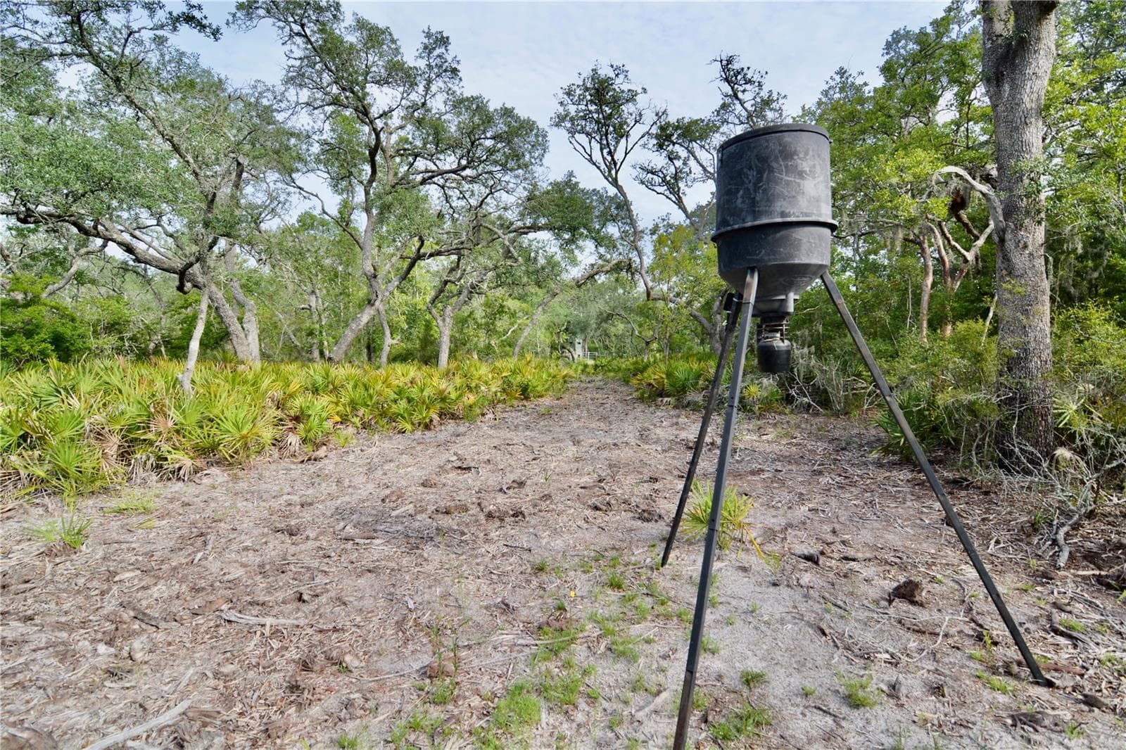 Farm at 2669 NW SUWANNEE VALLEY RD, LAKE CITY, photo 28 of 66