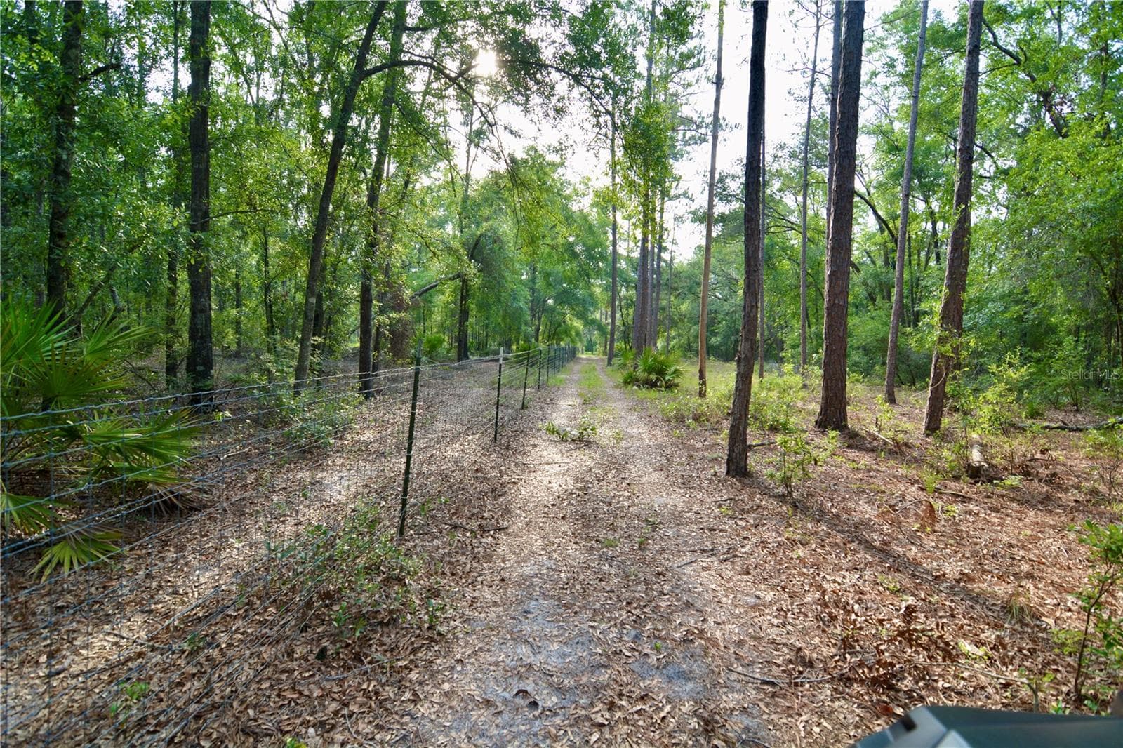 Farm at 2669 NW SUWANNEE VALLEY RD, LAKE CITY, photo 30 of 66