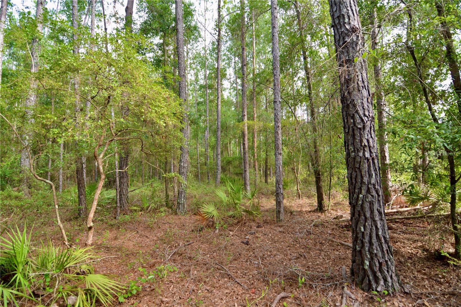 Farm at 2669 NW SUWANNEE VALLEY RD, LAKE CITY, photo 31 of 66