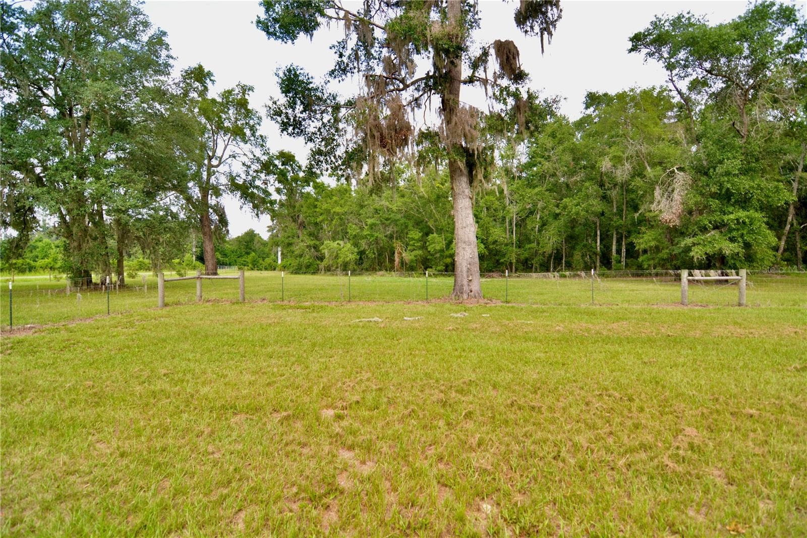 Farm at 2669 NW SUWANNEE VALLEY RD, LAKE CITY, photo 46 of 66