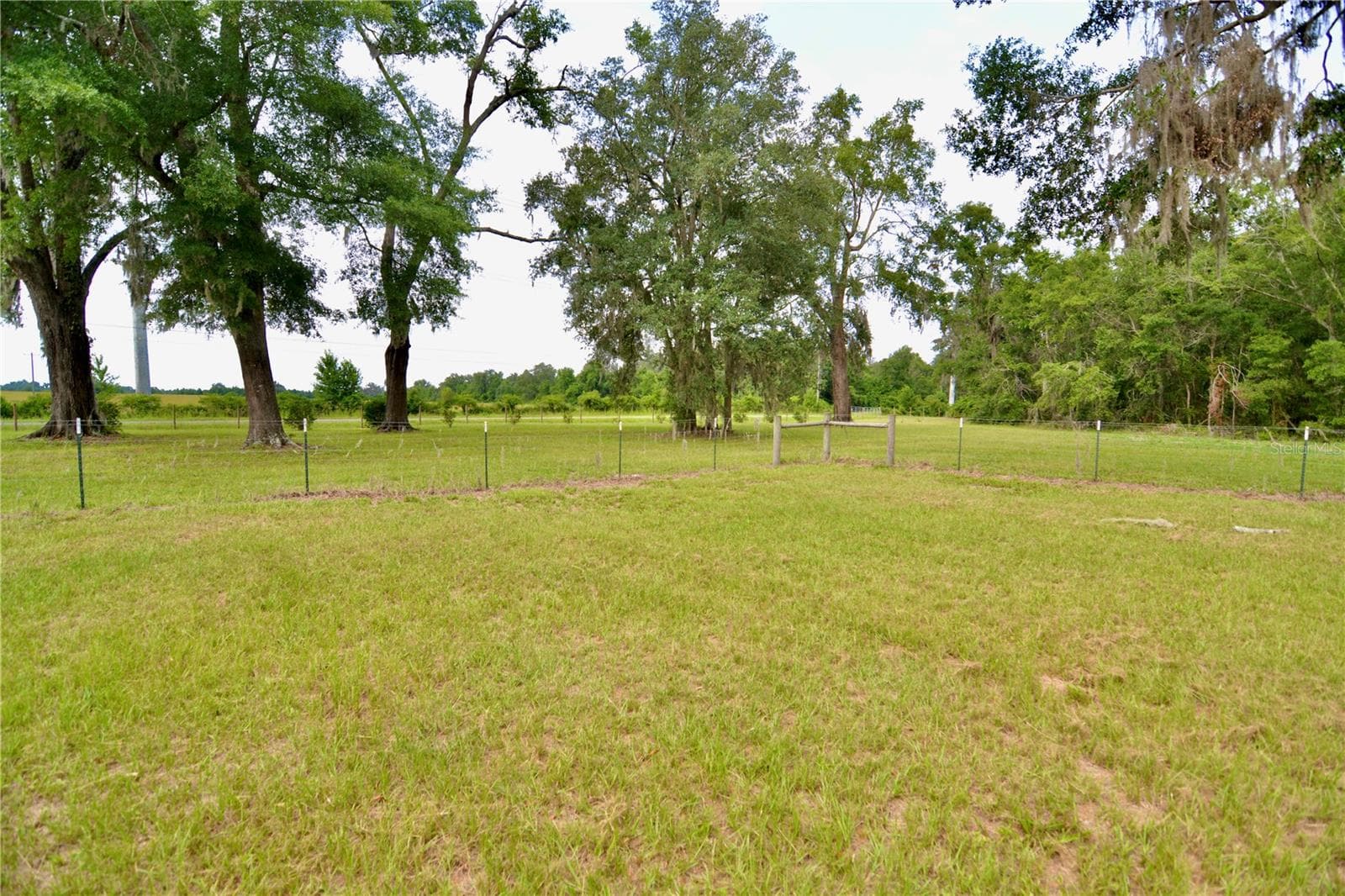 Farm at 2669 NW SUWANNEE VALLEY RD, LAKE CITY, photo 47 of 66