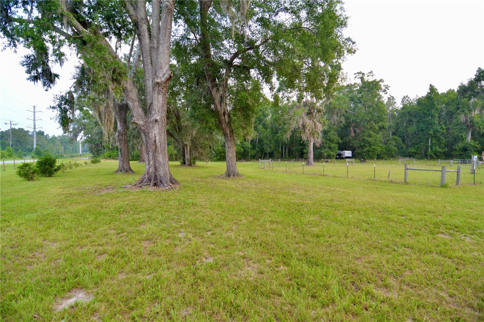 Farm at 2669 NW SUWANNEE VALLEY RD, LAKE CITY, photo 48 of 66