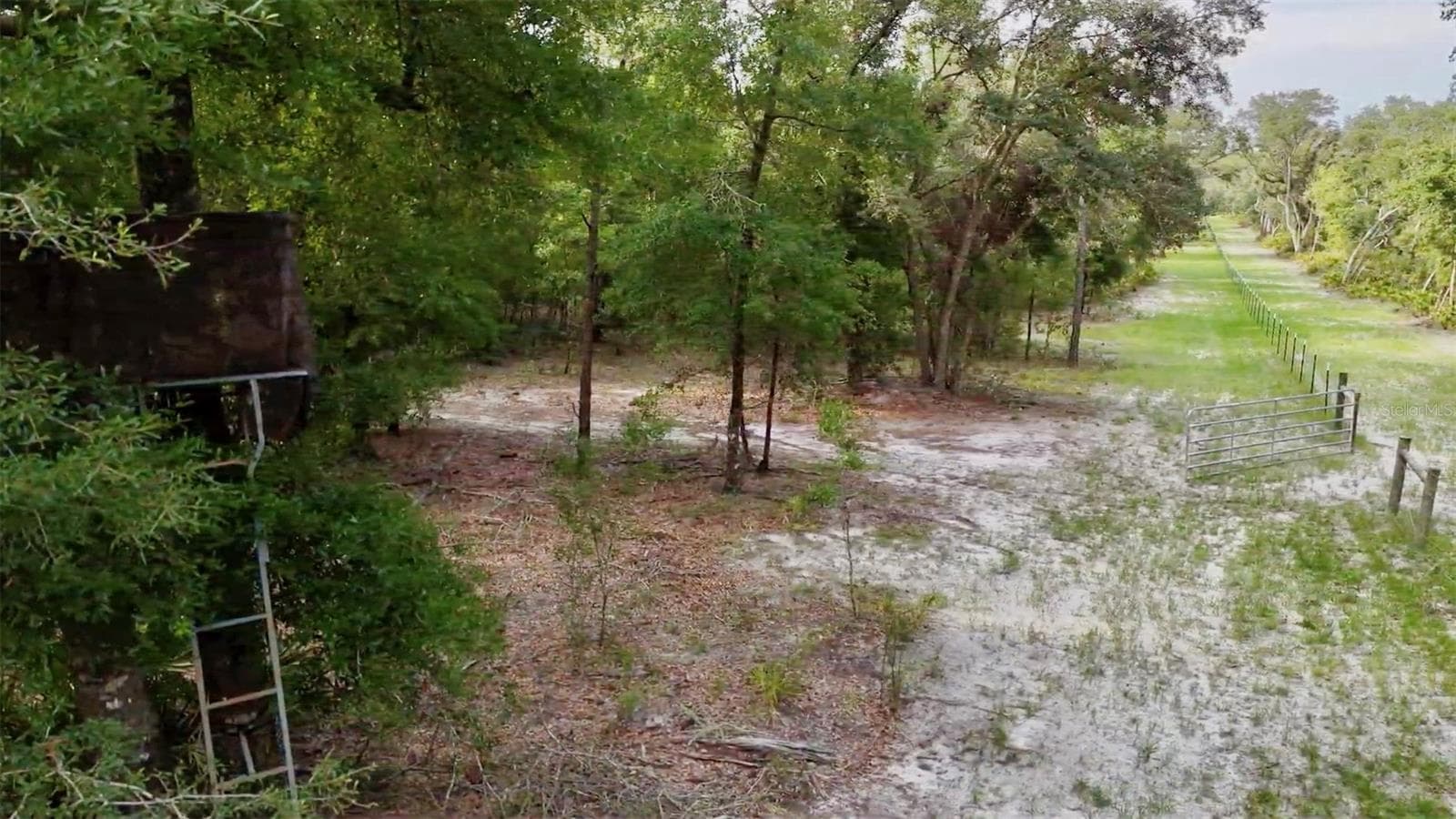Farm at 2669 NW SUWANNEE VALLEY RD, LAKE CITY, photo 50 of 66