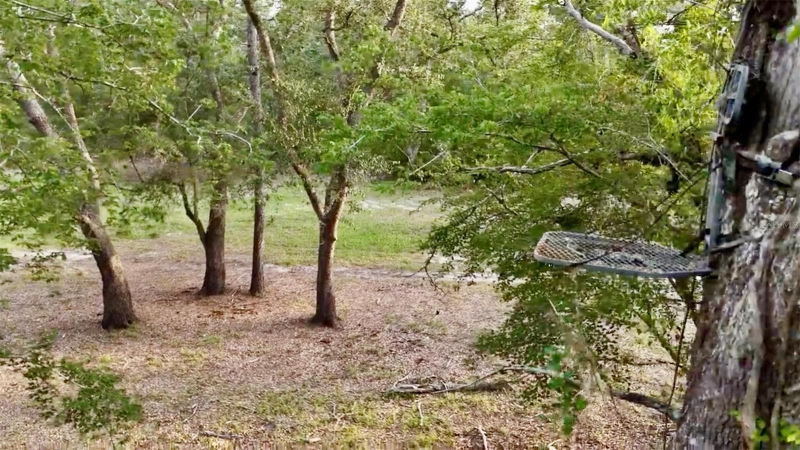 Farm at 2669 NW SUWANNEE VALLEY RD, LAKE CITY, photo 51 of 66
