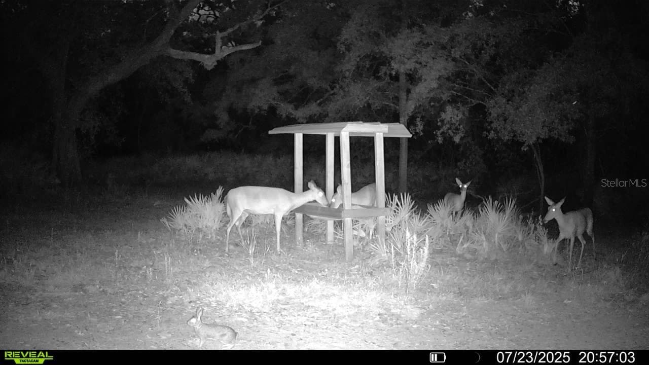 Farm at 2669 NW SUWANNEE VALLEY RD, LAKE CITY, photo 61 of 66