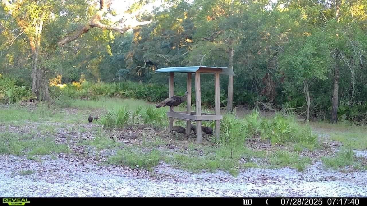 Farm at 2669 NW SUWANNEE VALLEY RD, LAKE CITY, photo 63 of 66