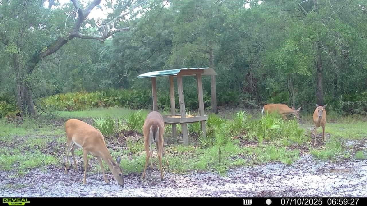 Farm at 2669 NW SUWANNEE VALLEY RD, LAKE CITY, photo 66 of 66