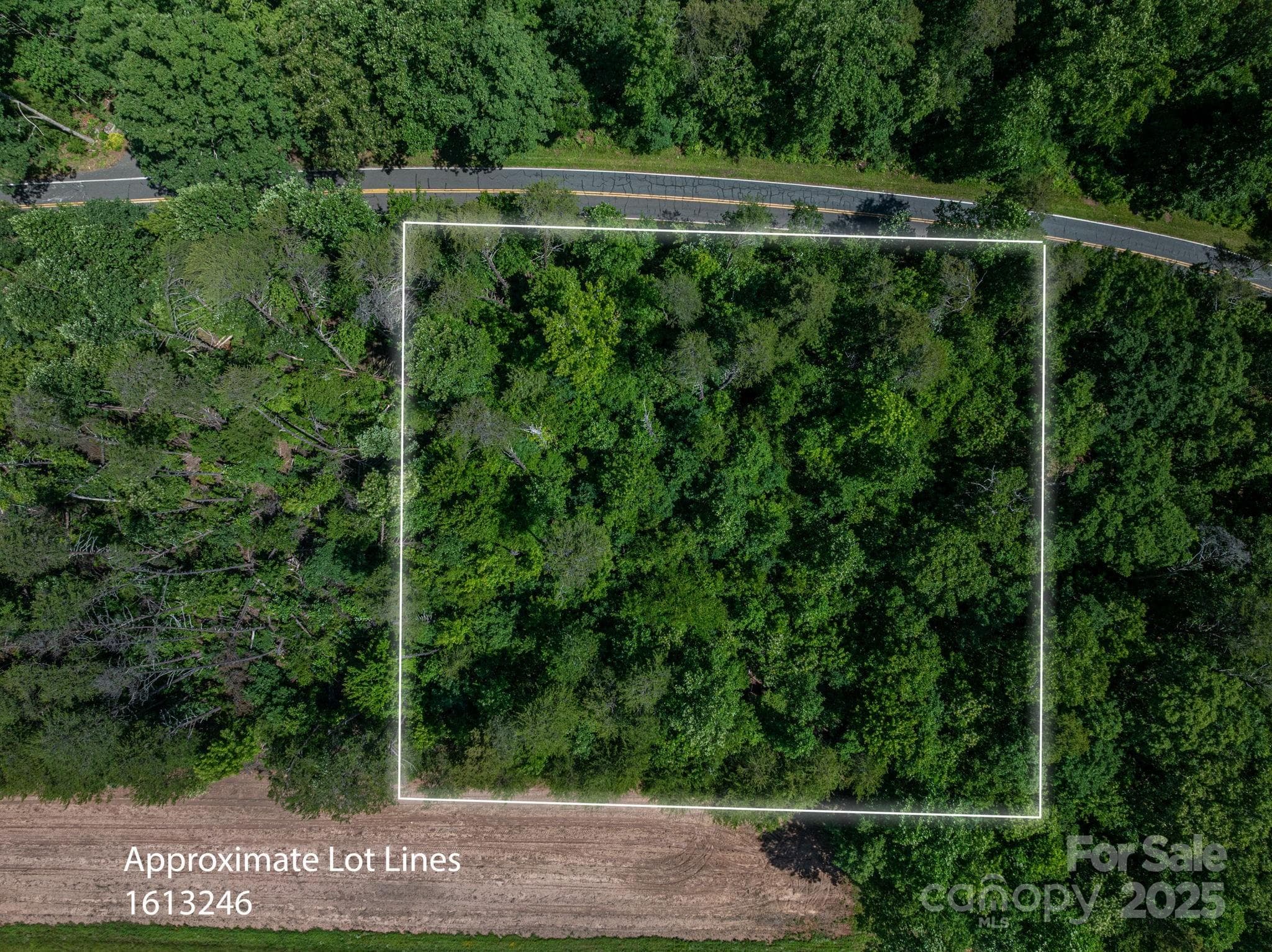 Lot at Lot 2 Cleghorn Mill Road, Rutherfordton, photo 2 of 23
