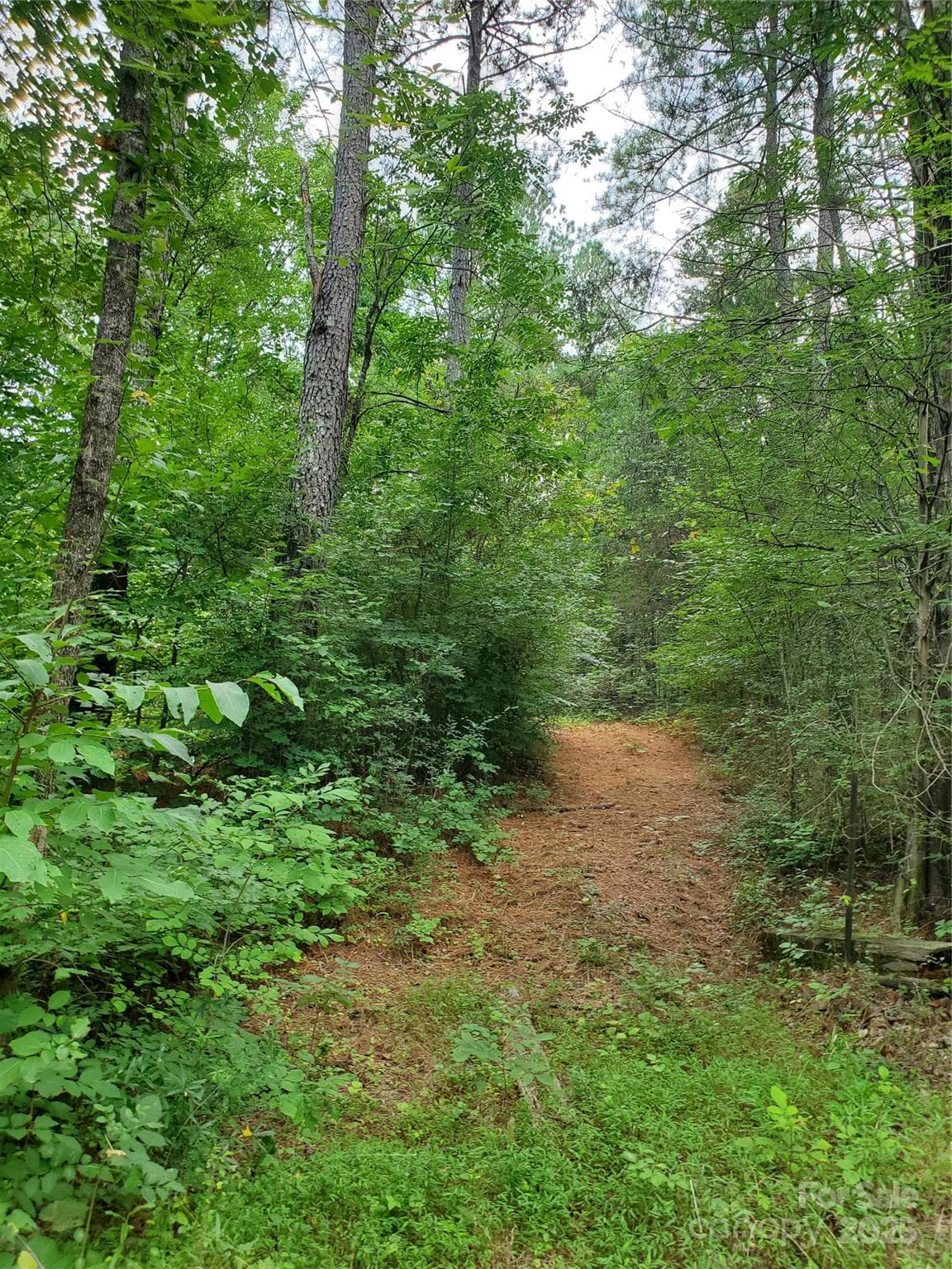 Unimproved Commercial at Kannapolis, photo 2 of 2