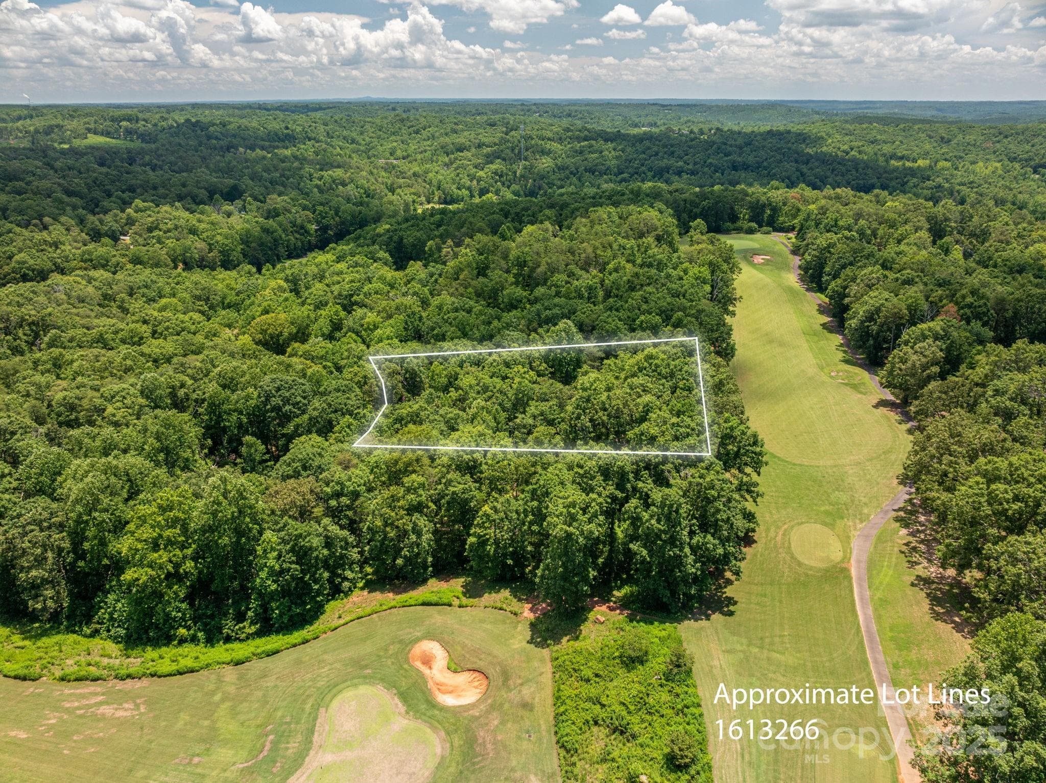 Lot at Lot 219 Plantation Drive, Rutherfordton, photo 2 of 19