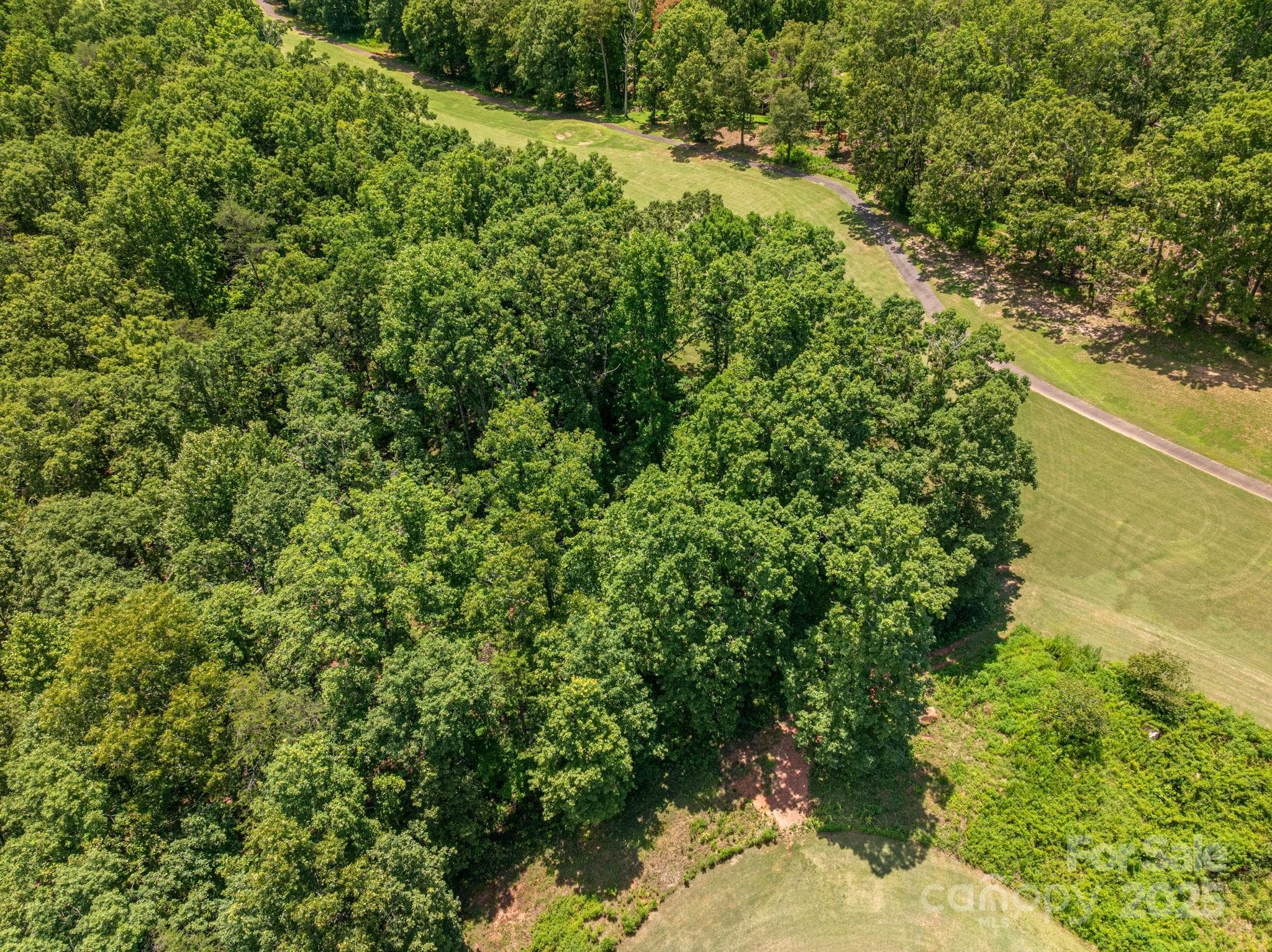 Lot at Lot 219 Plantation Drive, Rutherfordton, photo 4 of 19