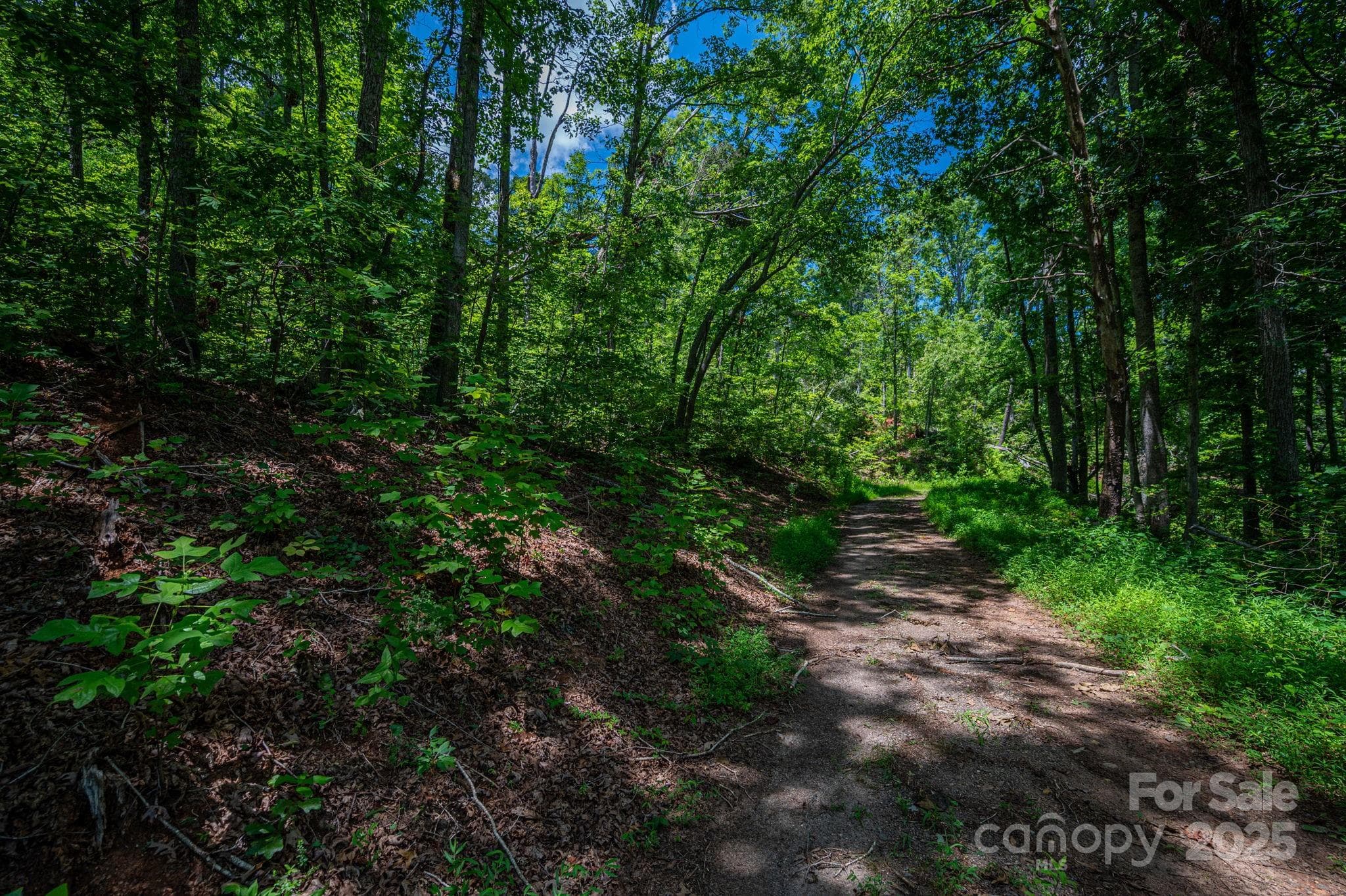 Lot at Lot 221 Plantation Drive, Rutherfordton, photo 2 of 18