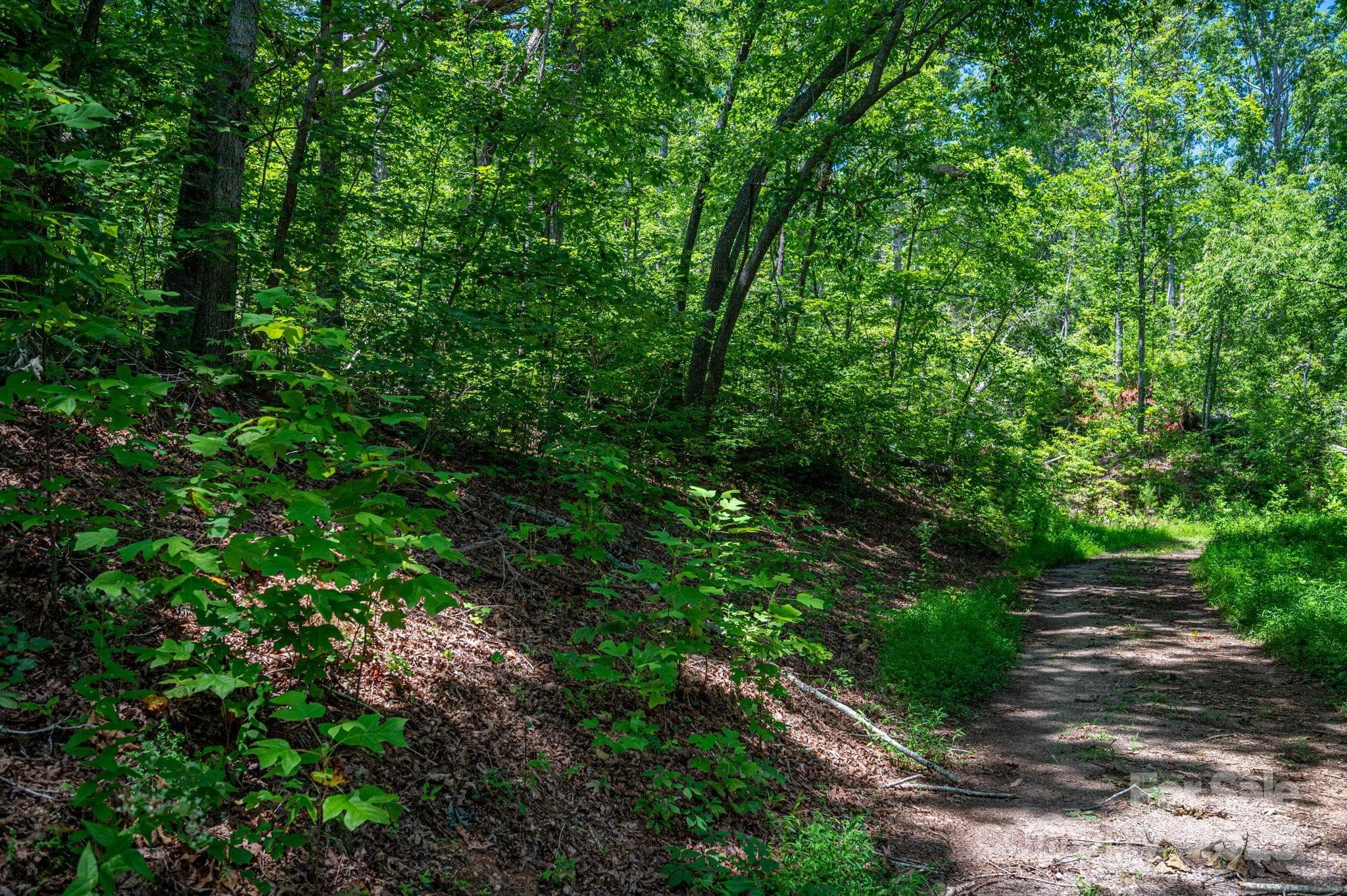 Lot at Lot 221 Plantation Drive, Rutherfordton, photo 3 of 18