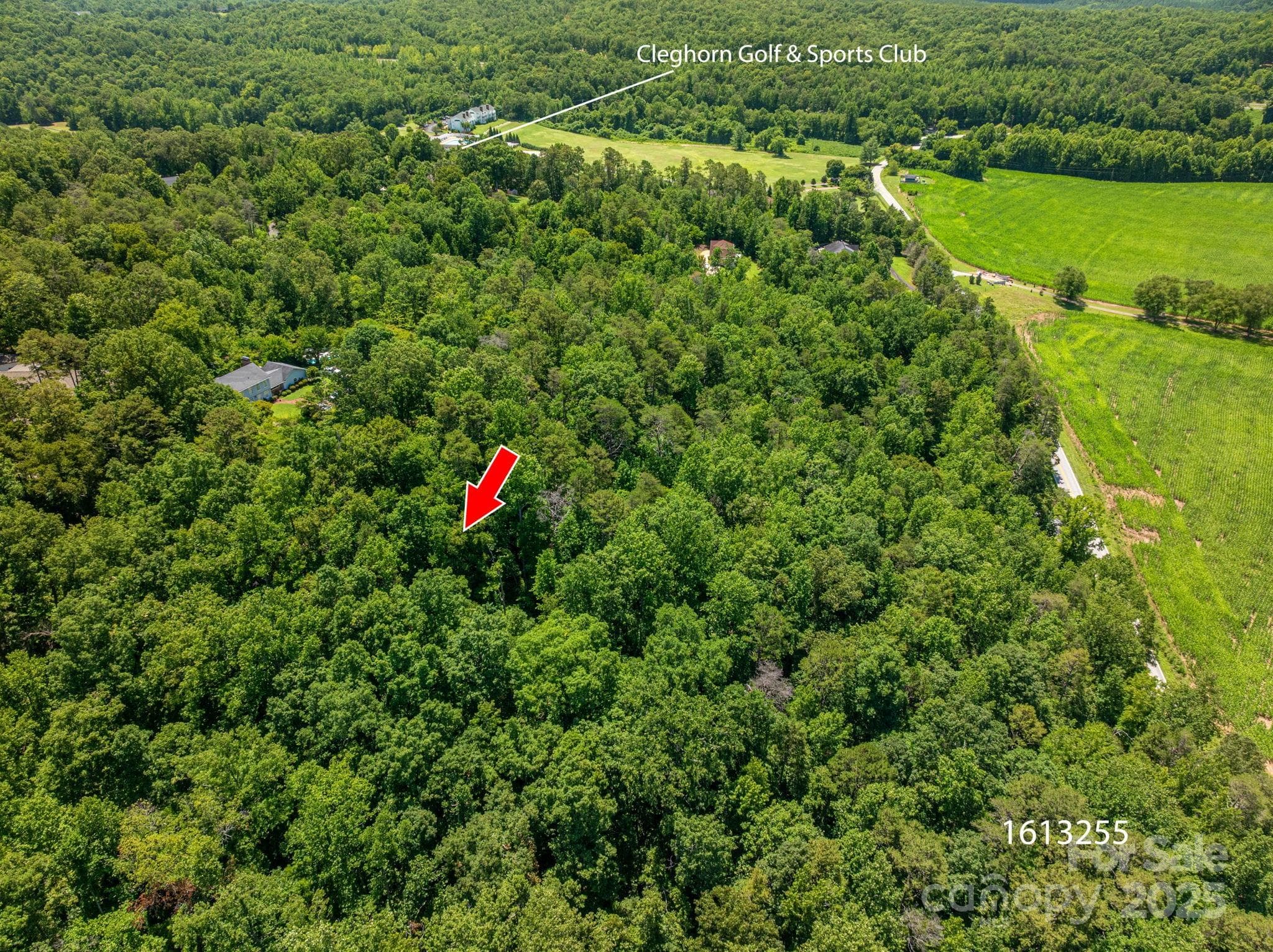 Lot at Lot 167 Plantation Drive, Rutherfordton, photo 4 of 22