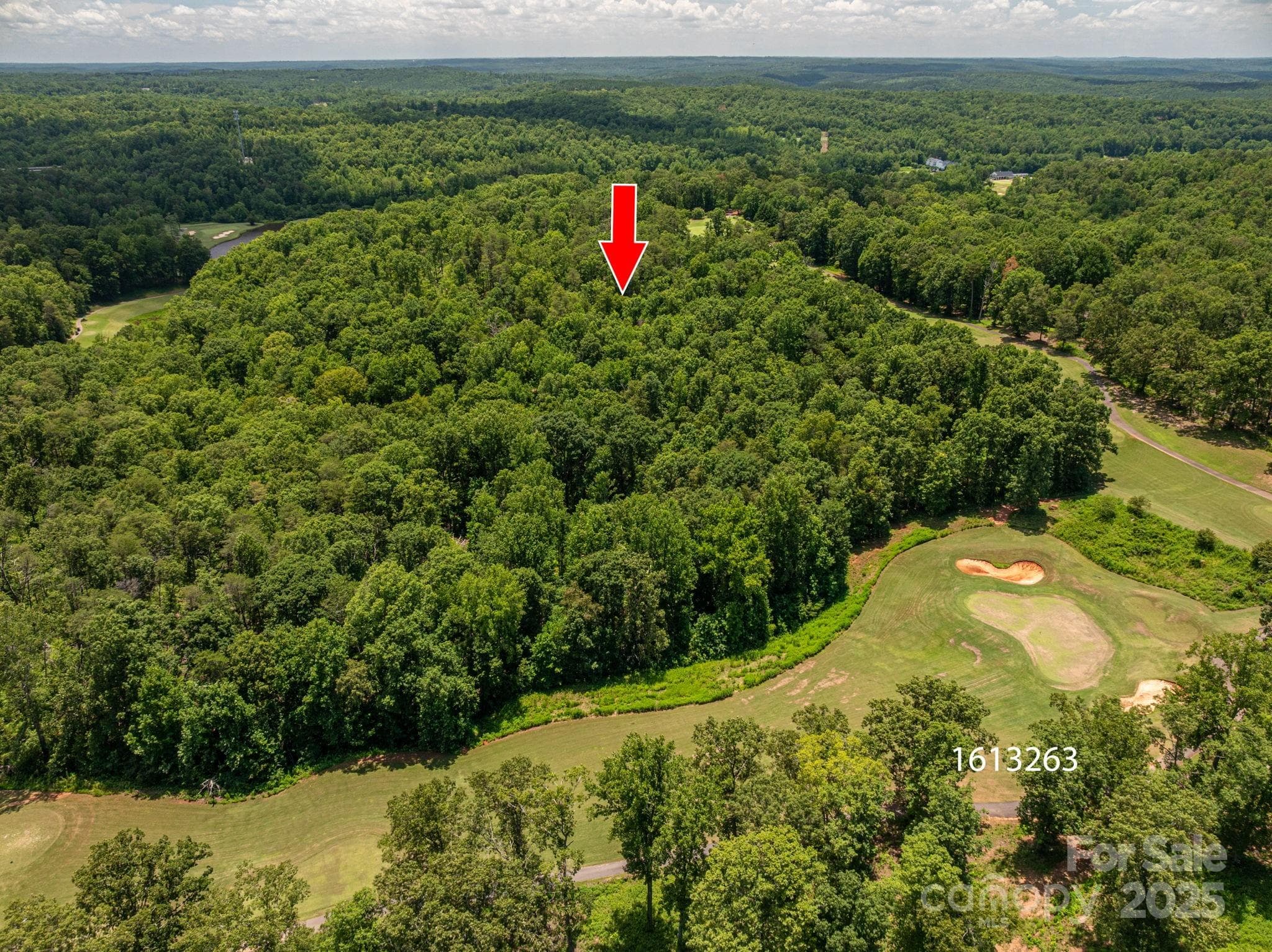 Lot at Lot 214 Plantation Drive, Rutherfordton, photo 3 of 17