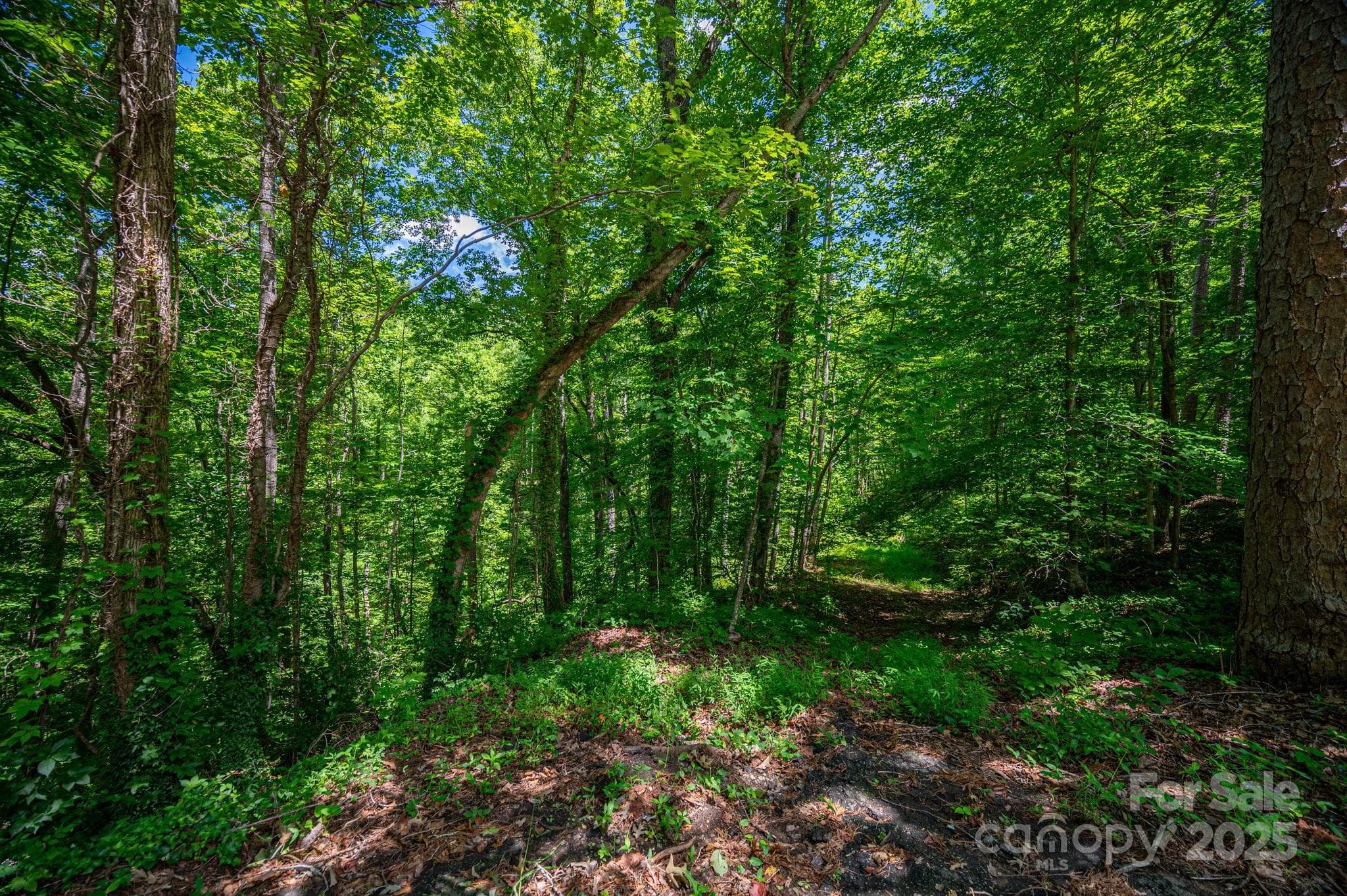 Lot at LOT 168 Plantation Drive, Rutherfordton, photo 2 of 20