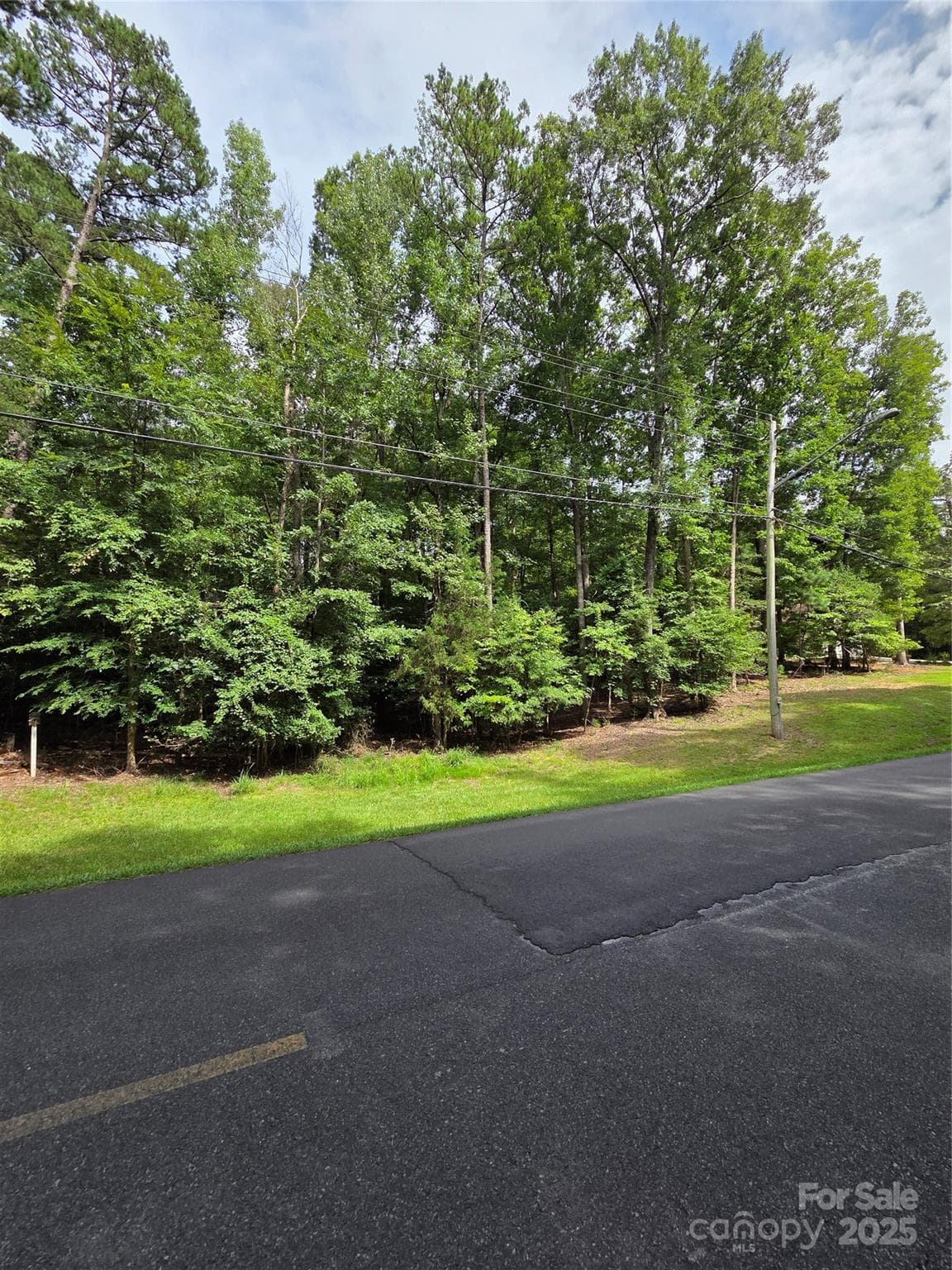 Lot at 242 Creswell Road, Mount Gilead, photo 2 of 20