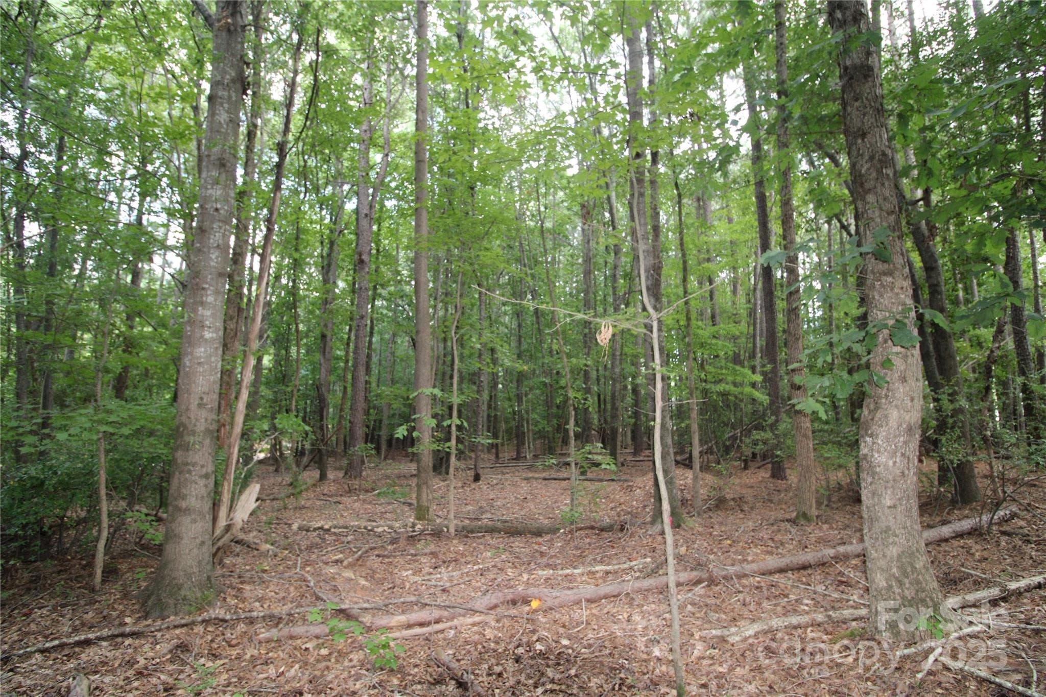 Lot at Rock Hill, photo 2 of 5