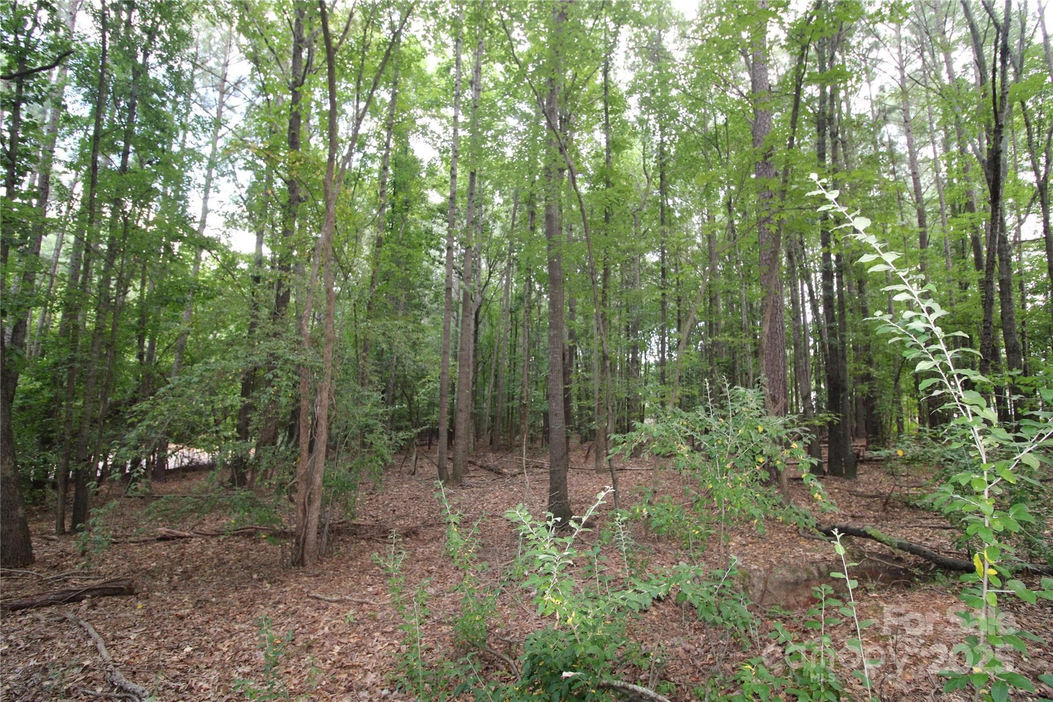 Lot at Rock Hill, photo 2 of 6