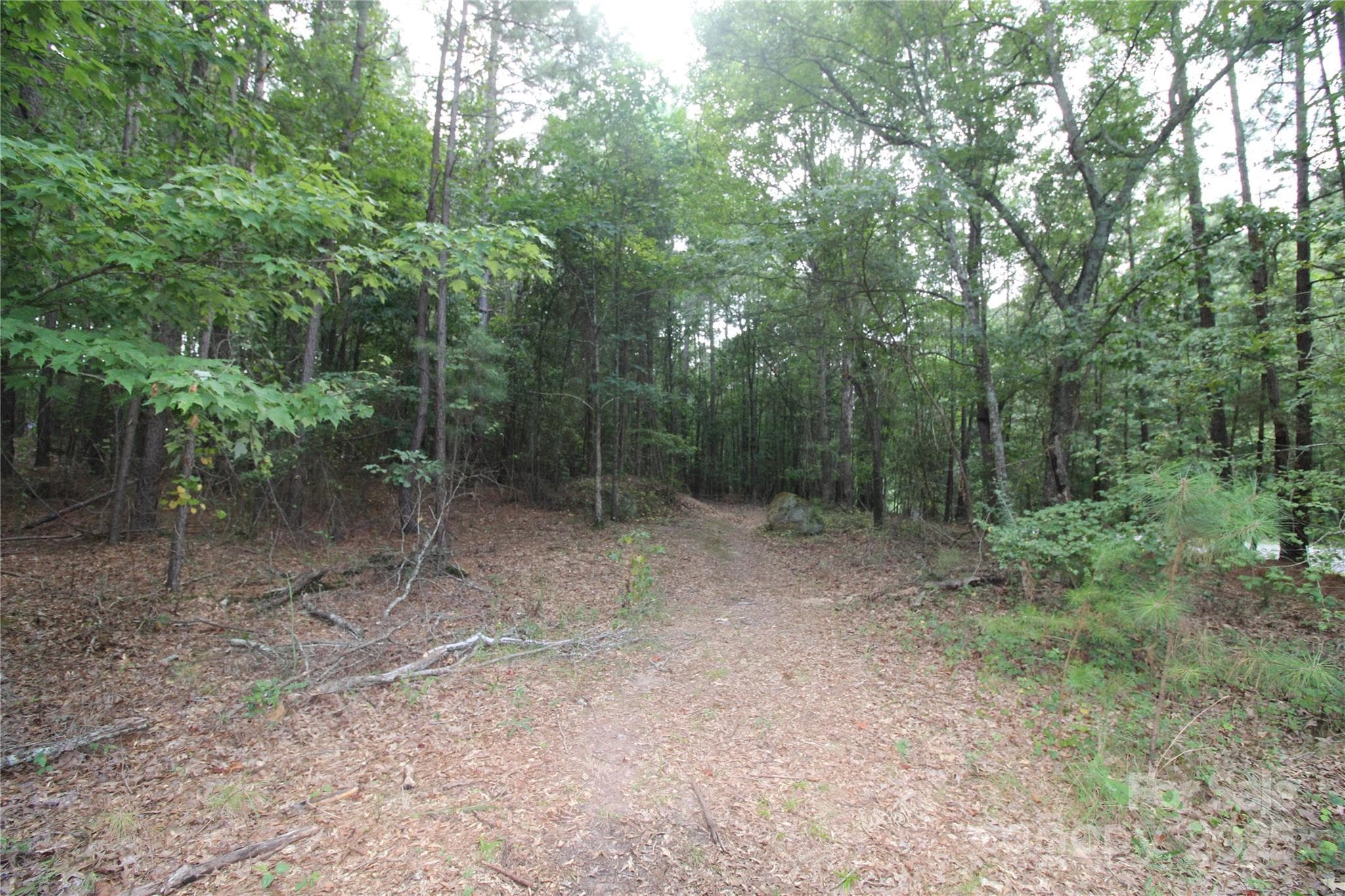 Lot at Rock Hill, photo 2 of 6