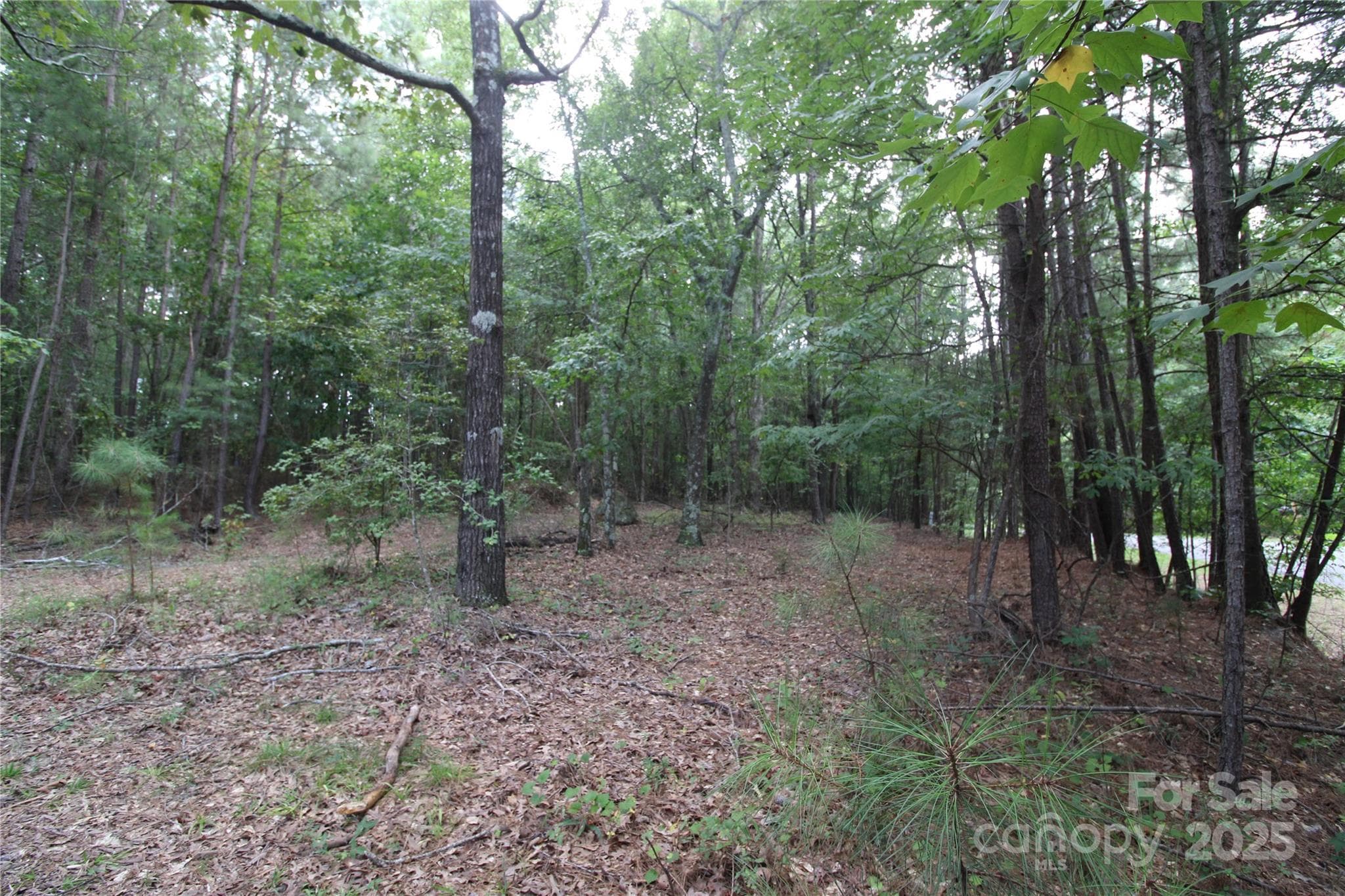Lot at Rock Hill, photo 3 of 6