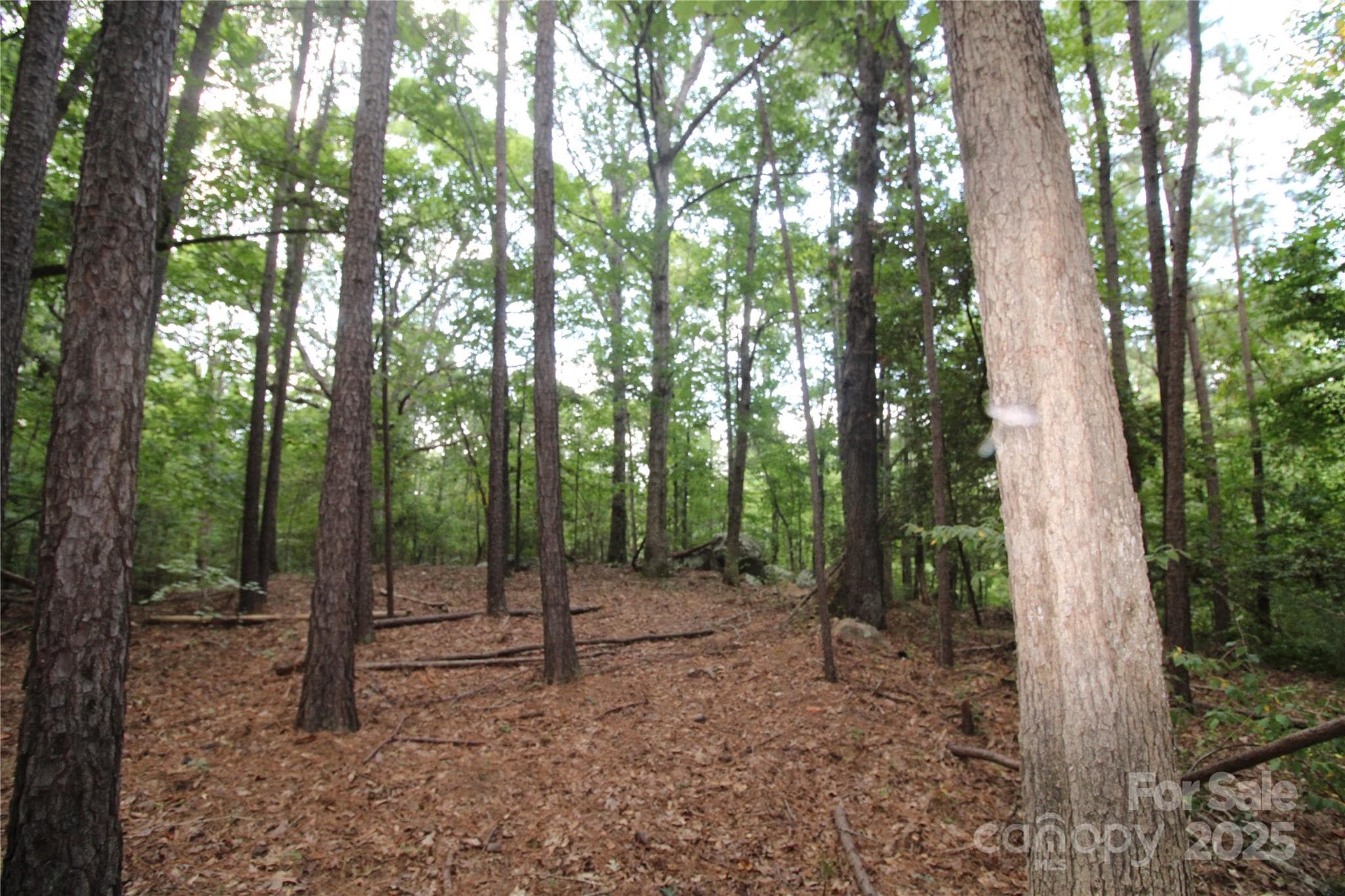 Lot at Rock Hill, photo 4 of 6