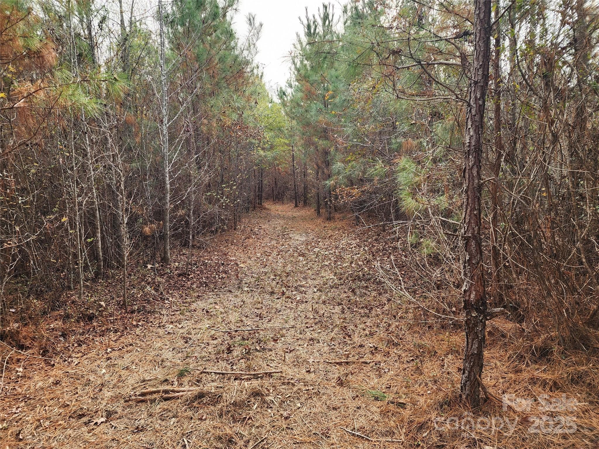 Acreage at 2351 Reges Store Road, Nashville, photo 16 of 44